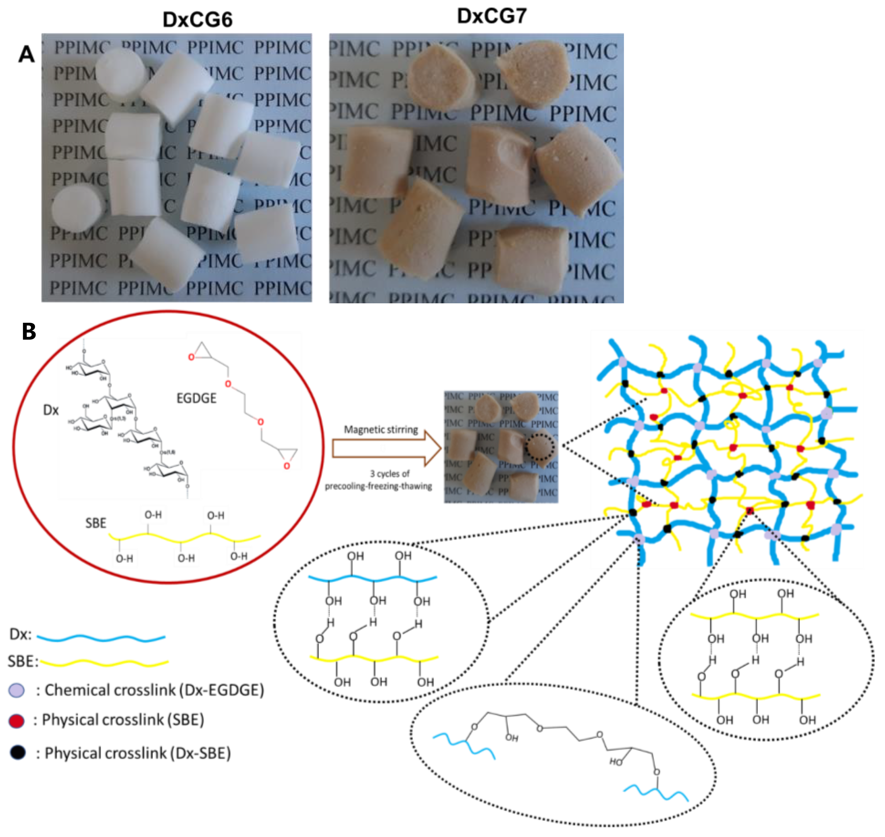 Polymers 16 02834 g001