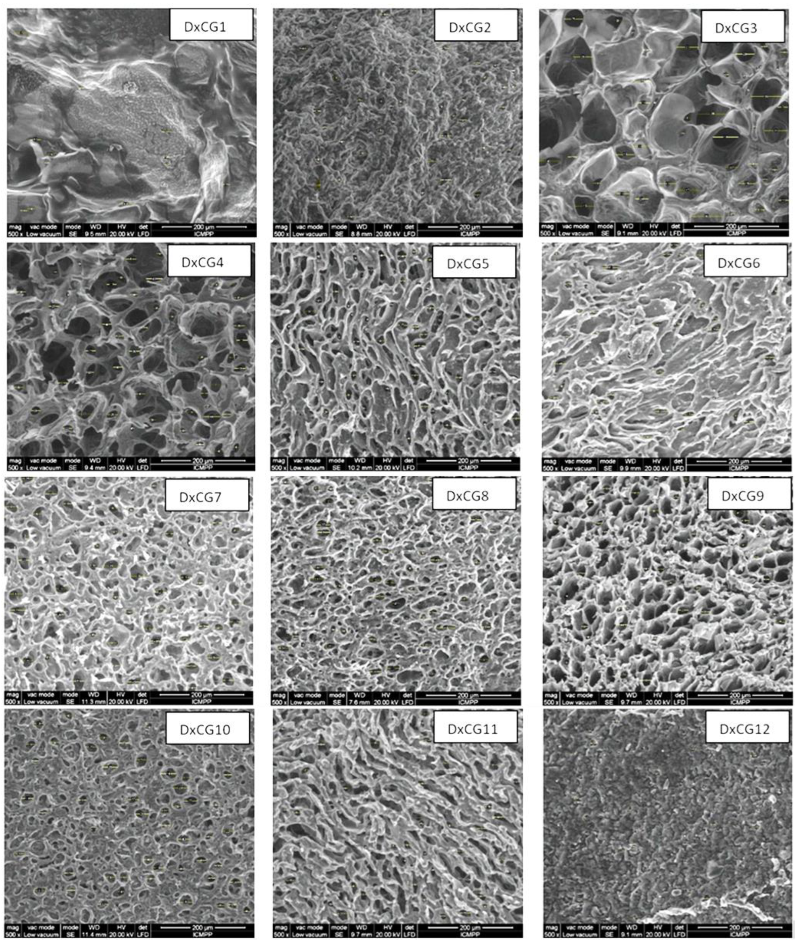 Polymers 16 02834 g004