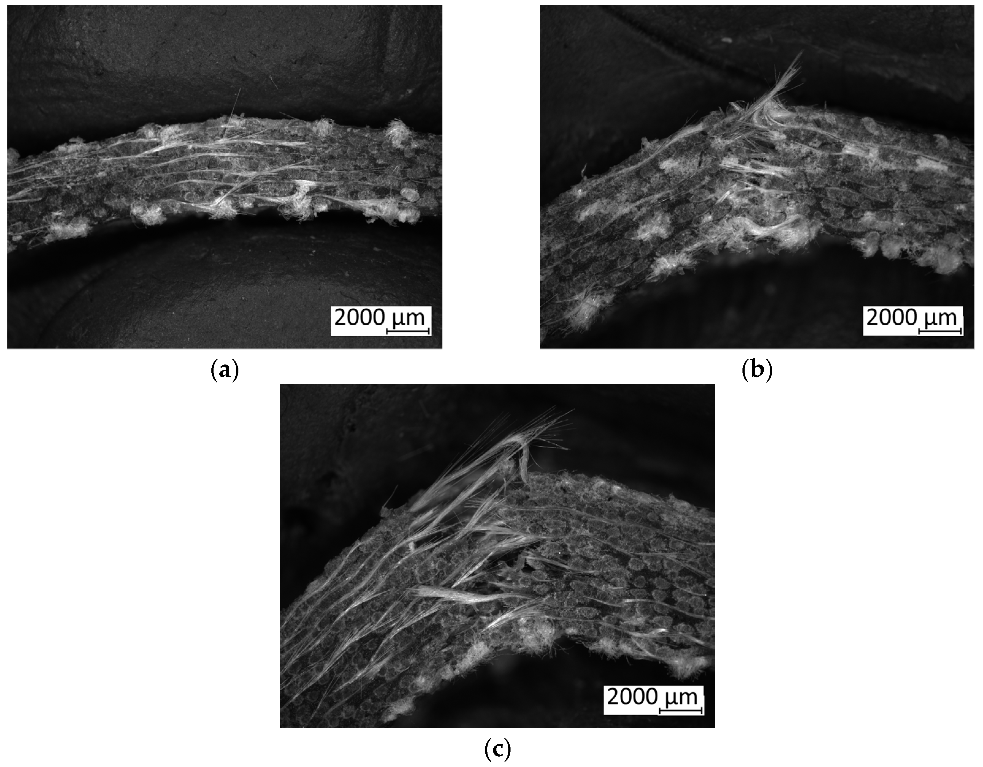 Polymers 16 02839 g004