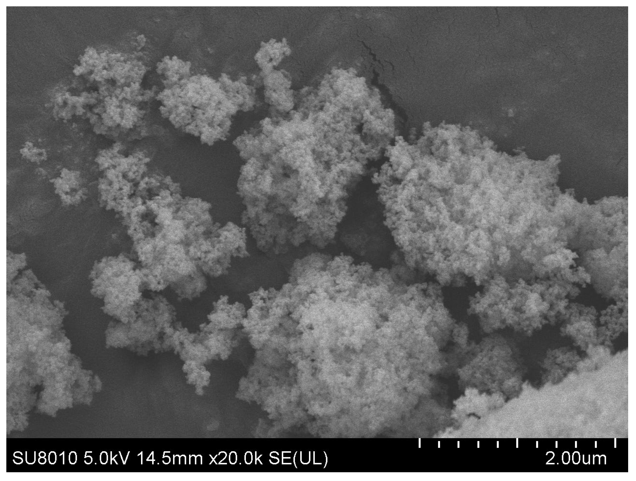 Polymers 16 02850 g001