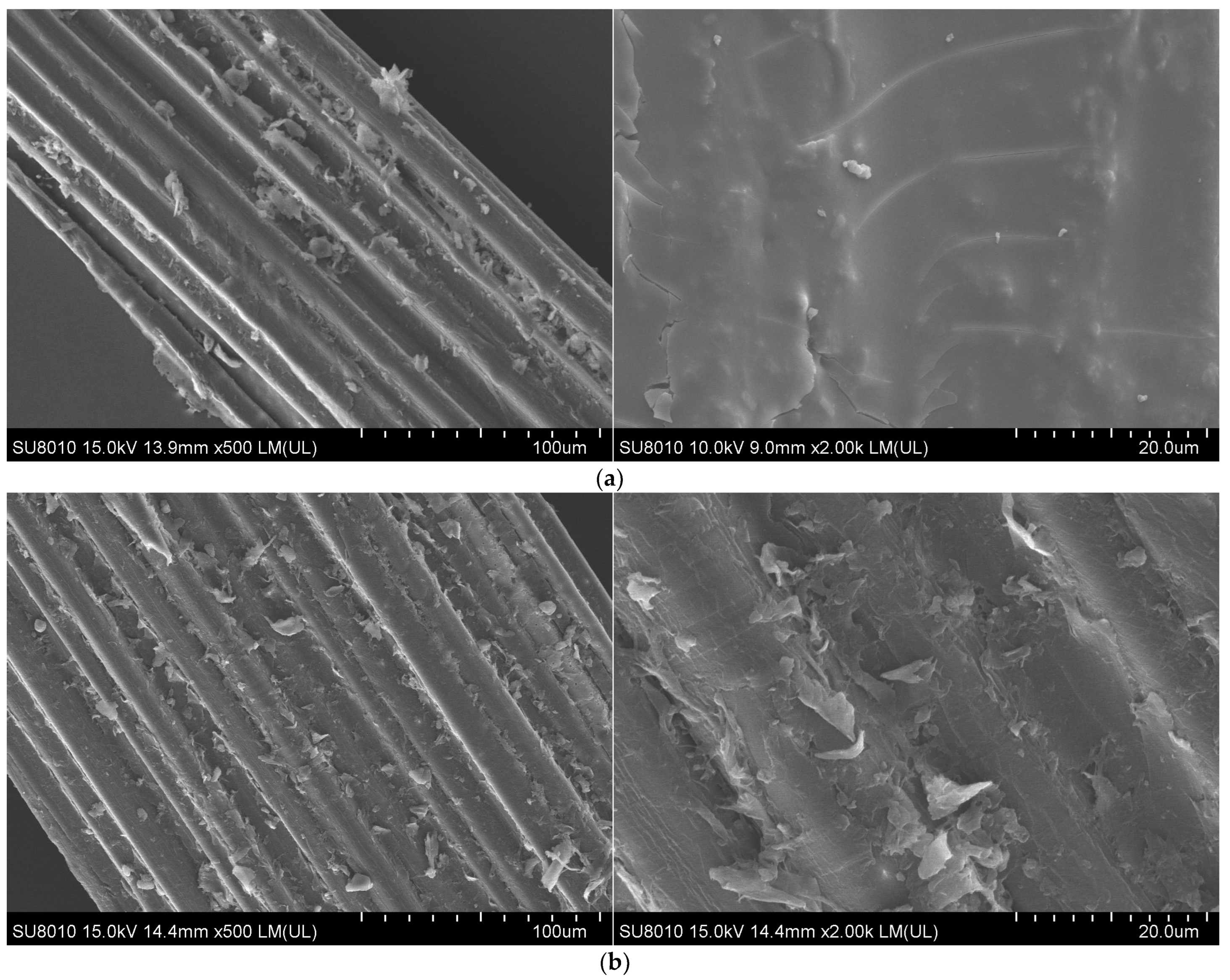 Polymers 16 02850 g006a