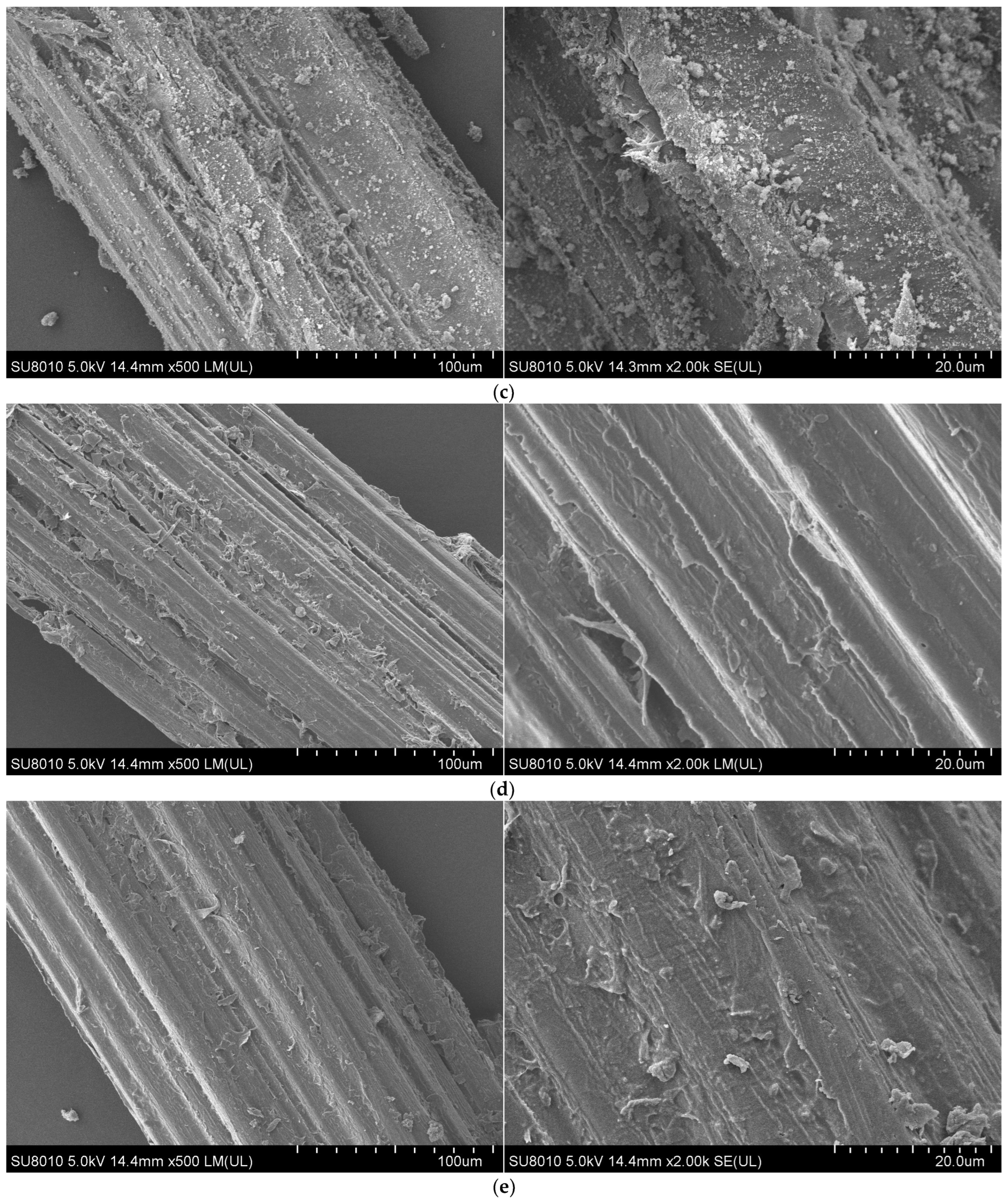 Polymers 16 02850 g006b