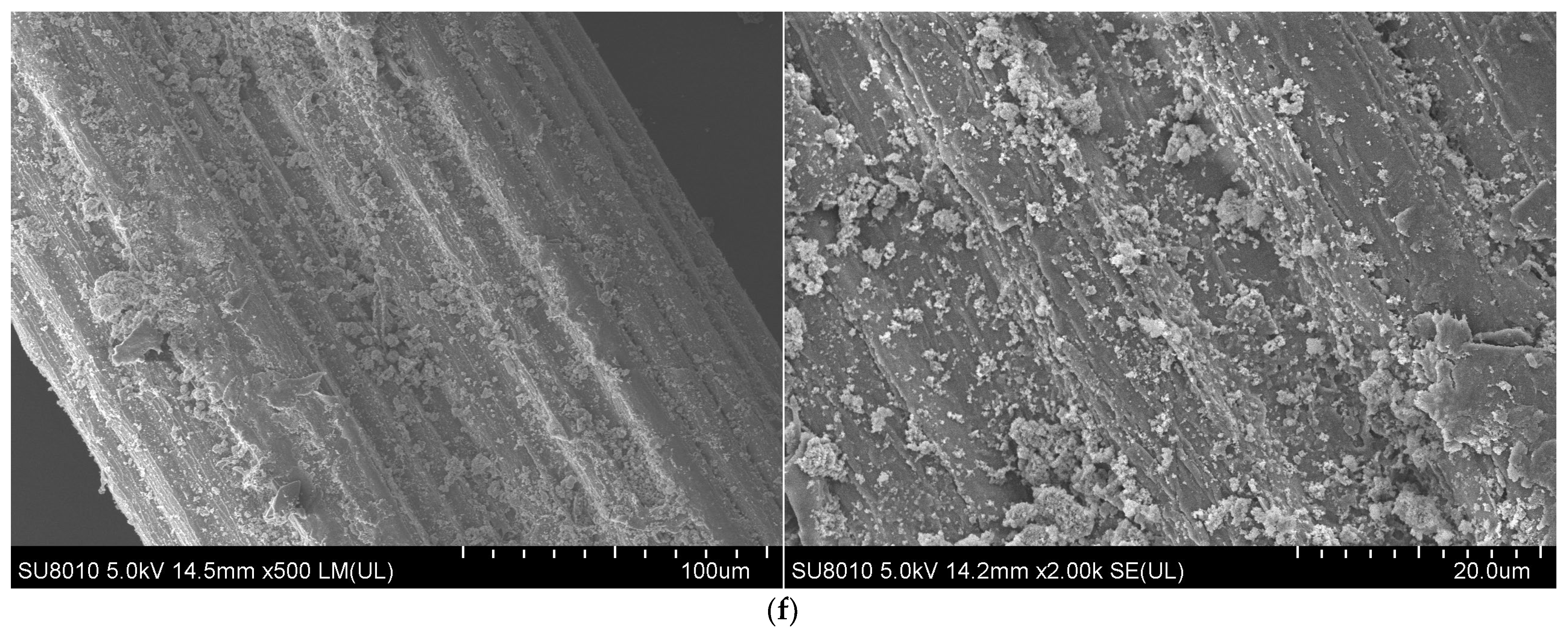 Polymers 16 02850 g006c