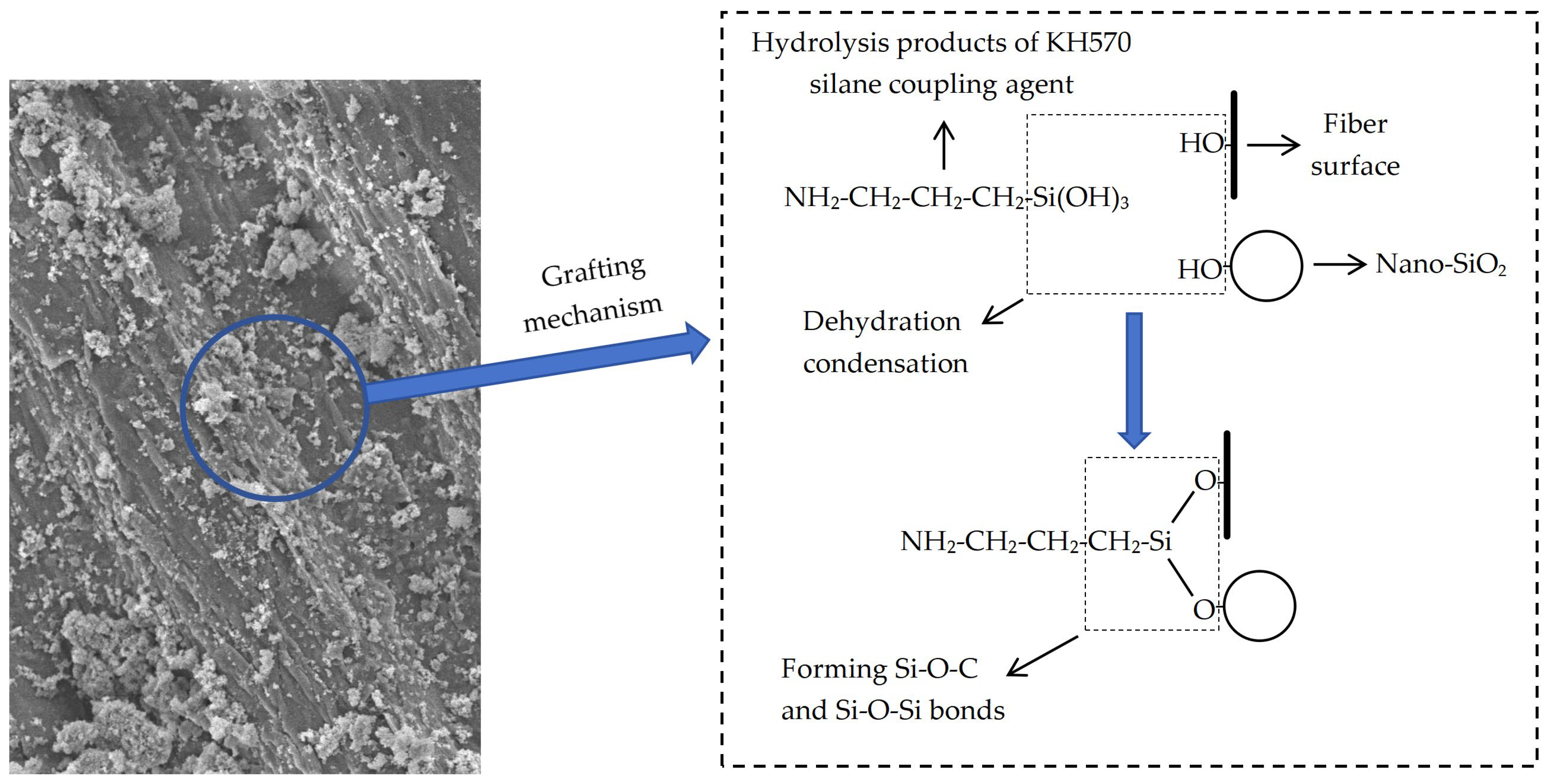 Polymers 16 02850 g008