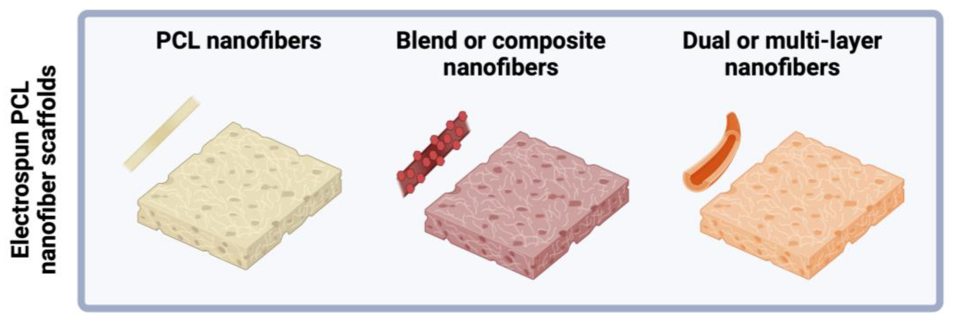 Polymers 16 02853 g005