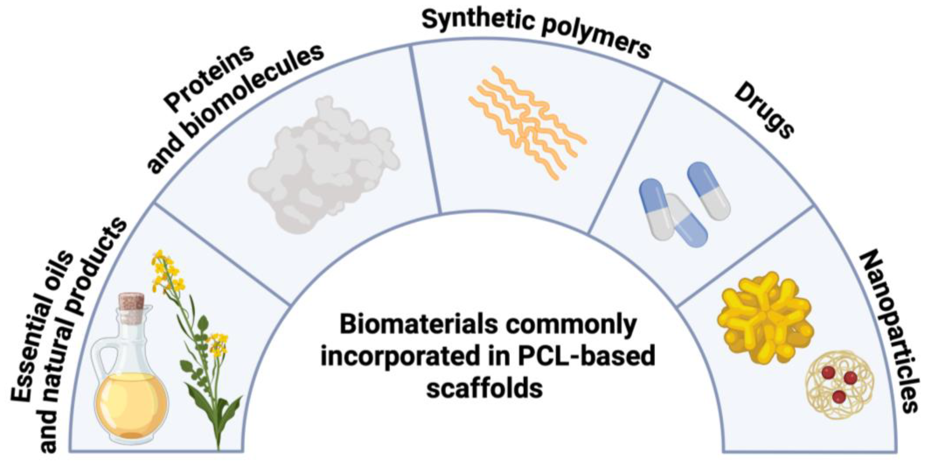 Polymers 16 02853 g006