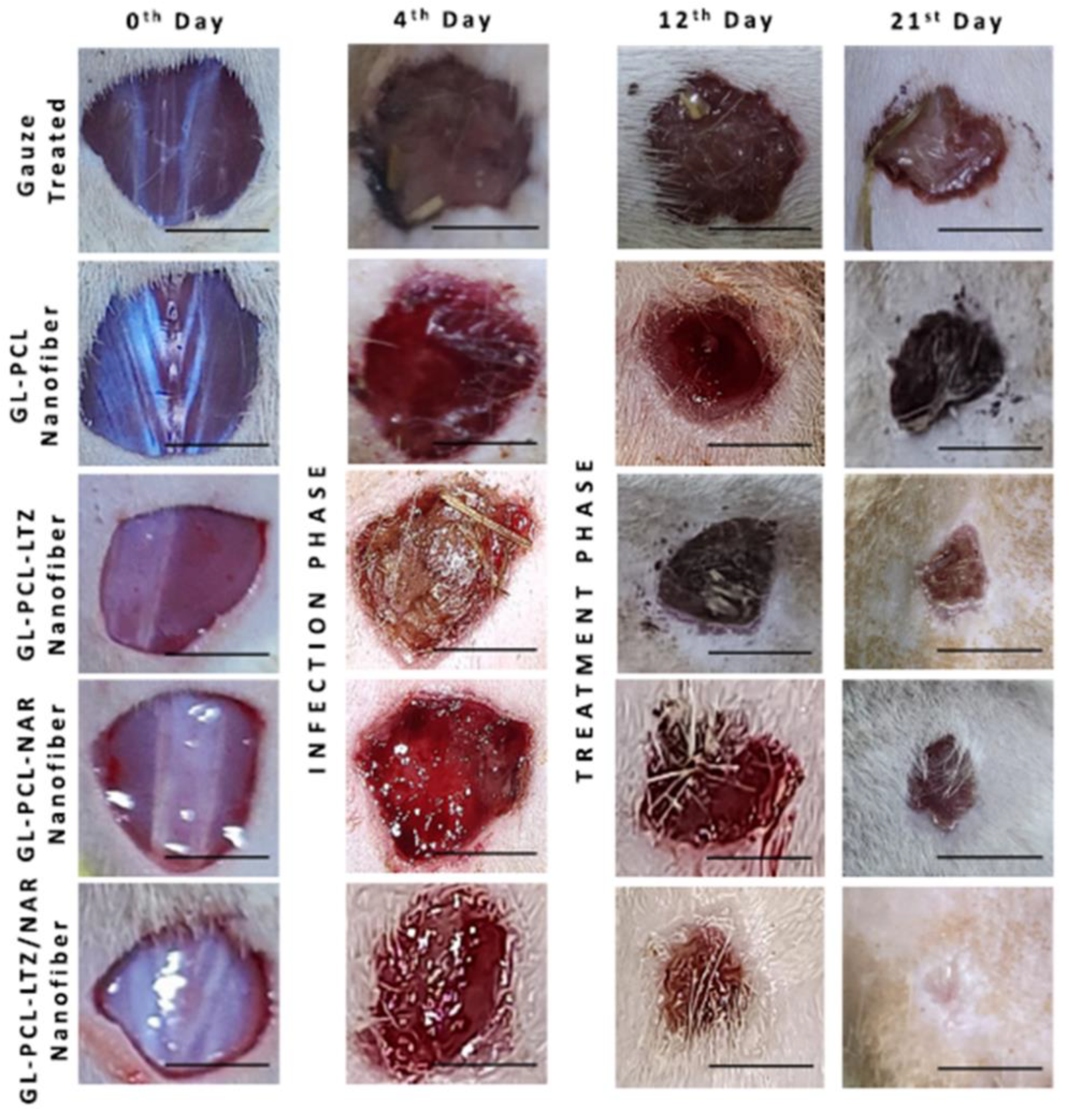 Polymers 16 02853 g009