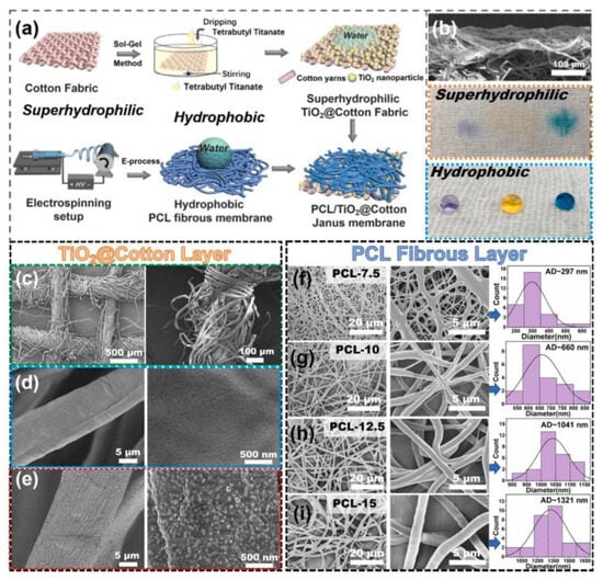 Polymers 16 02853 g011