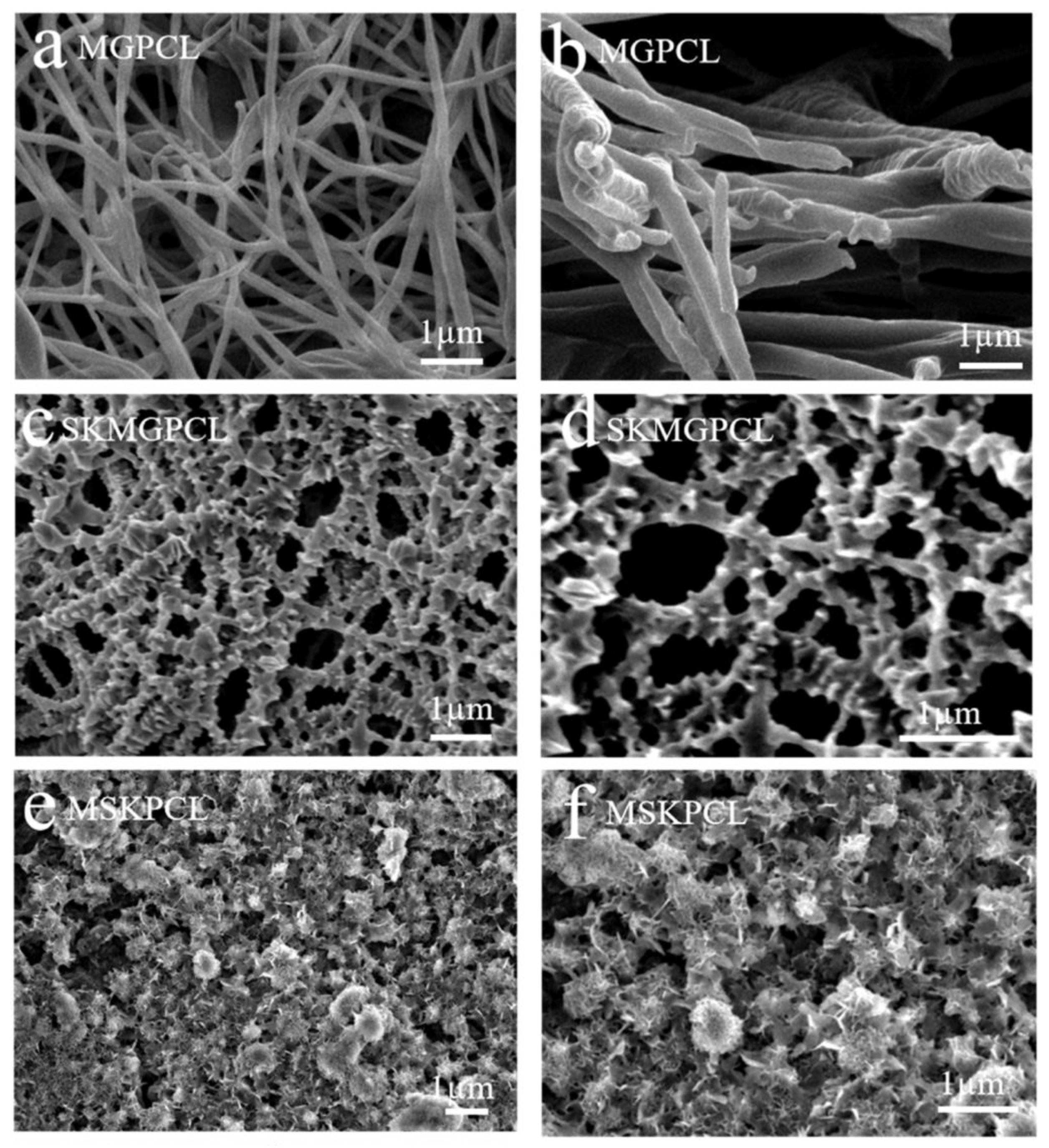 Polymers 16 02853 g013