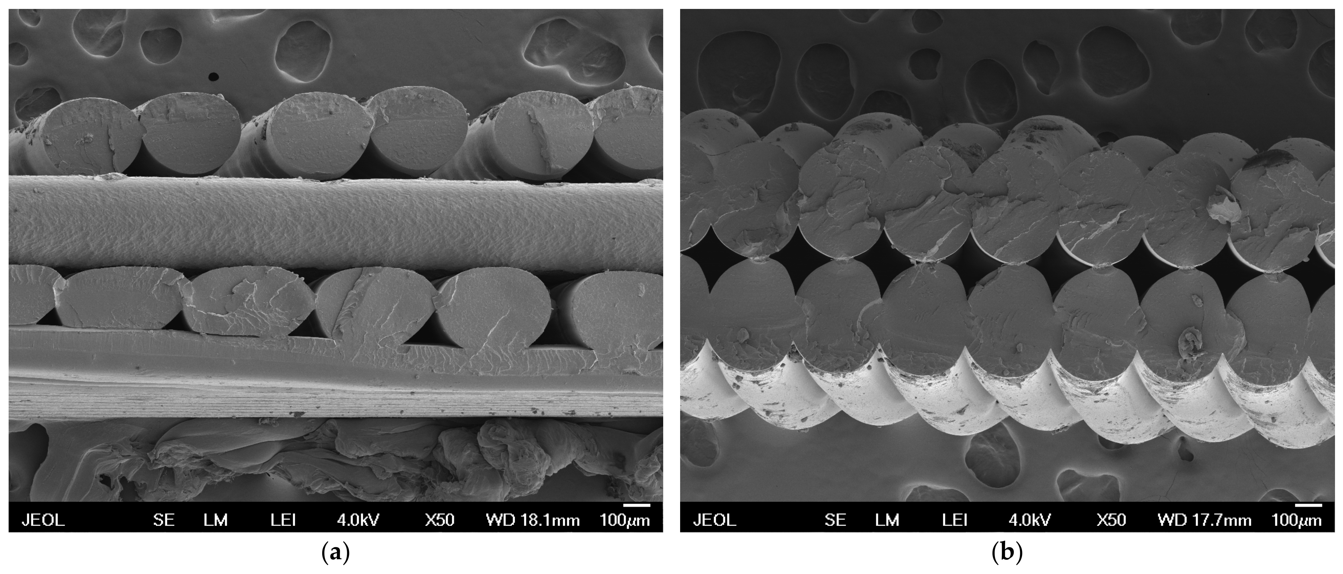 Polymers 16 02862 g006 Polymers 16 02862 g006