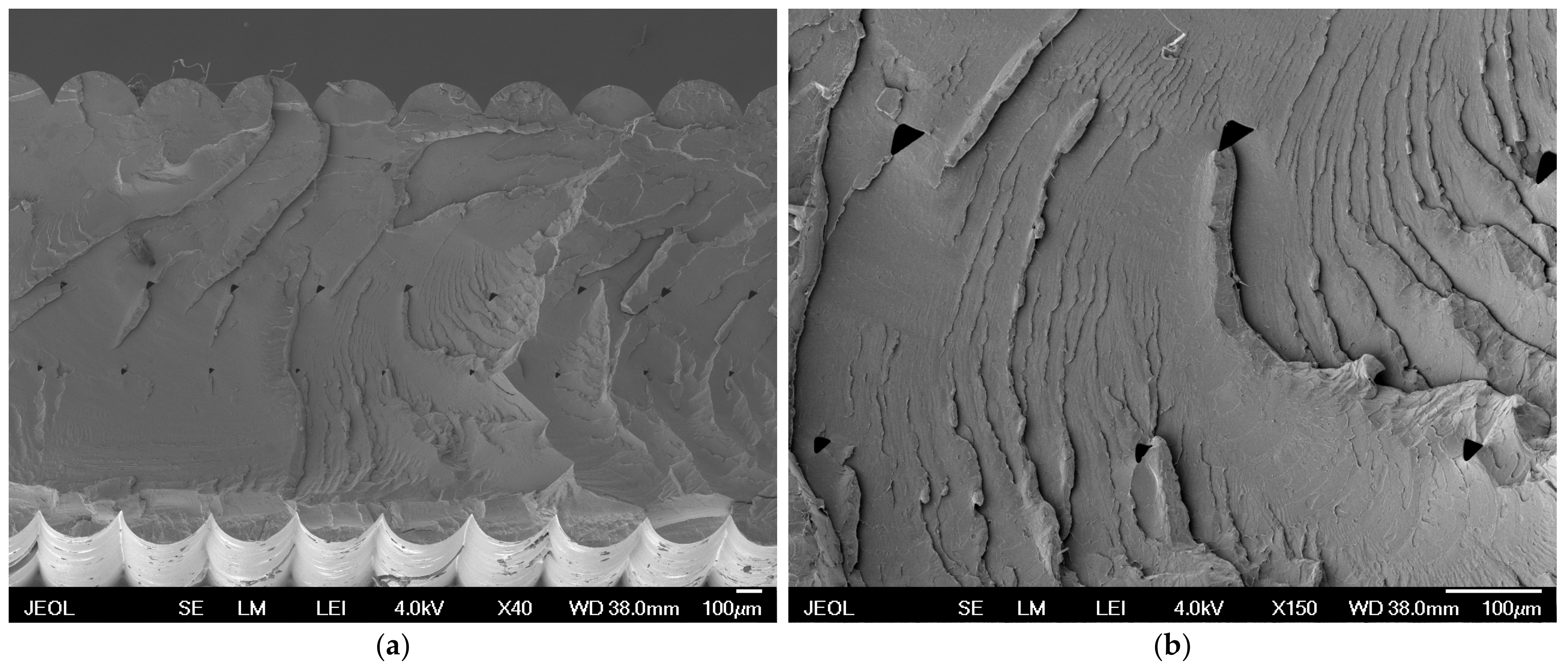 Polymers 16 02862 g007 Polymers 16 02862 g007