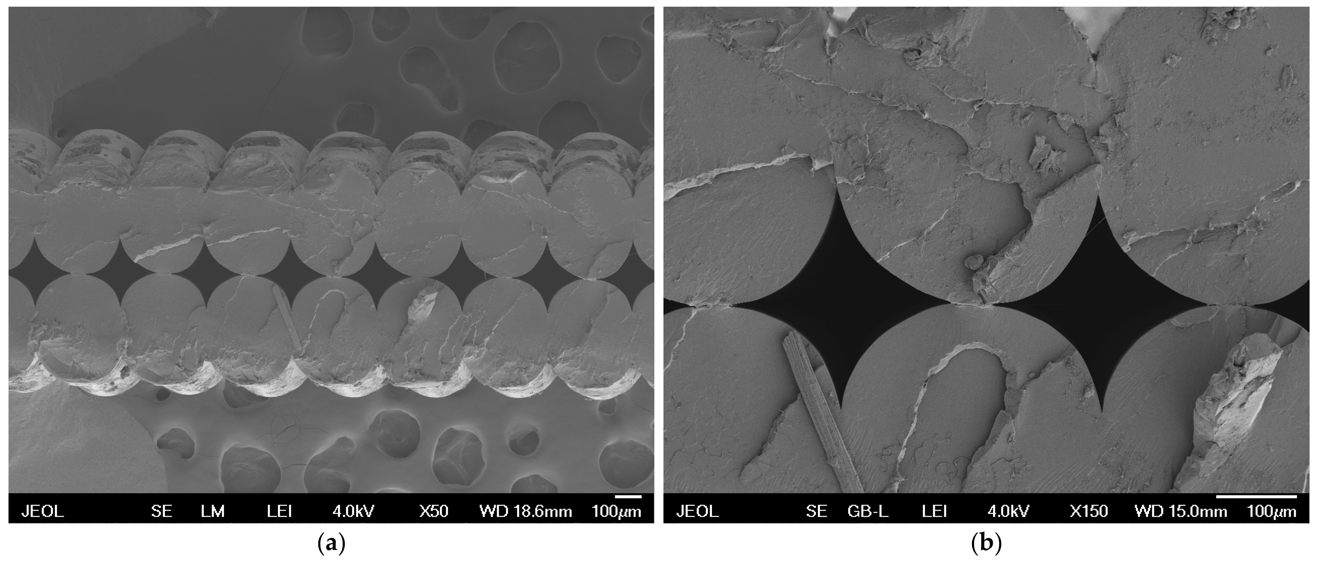 Polymers 16 02862 g009 Polymers 16 02862 g009