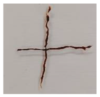 Polymers 16 02869 i003