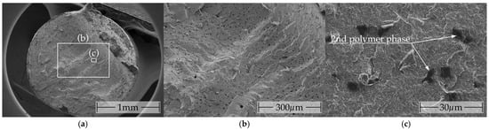 Polymers 16 02891 g0a2