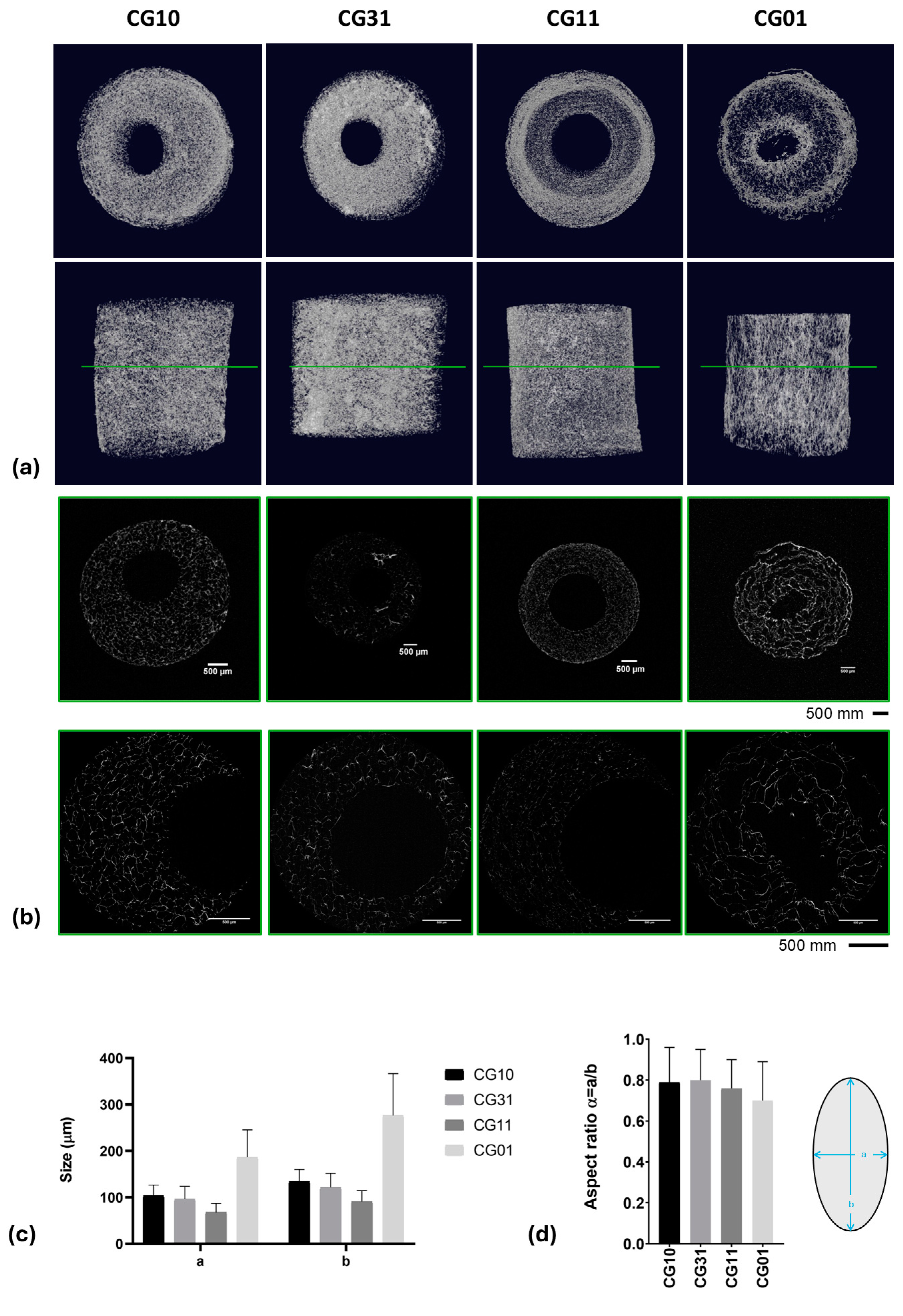 Polymers 16 02893 g005