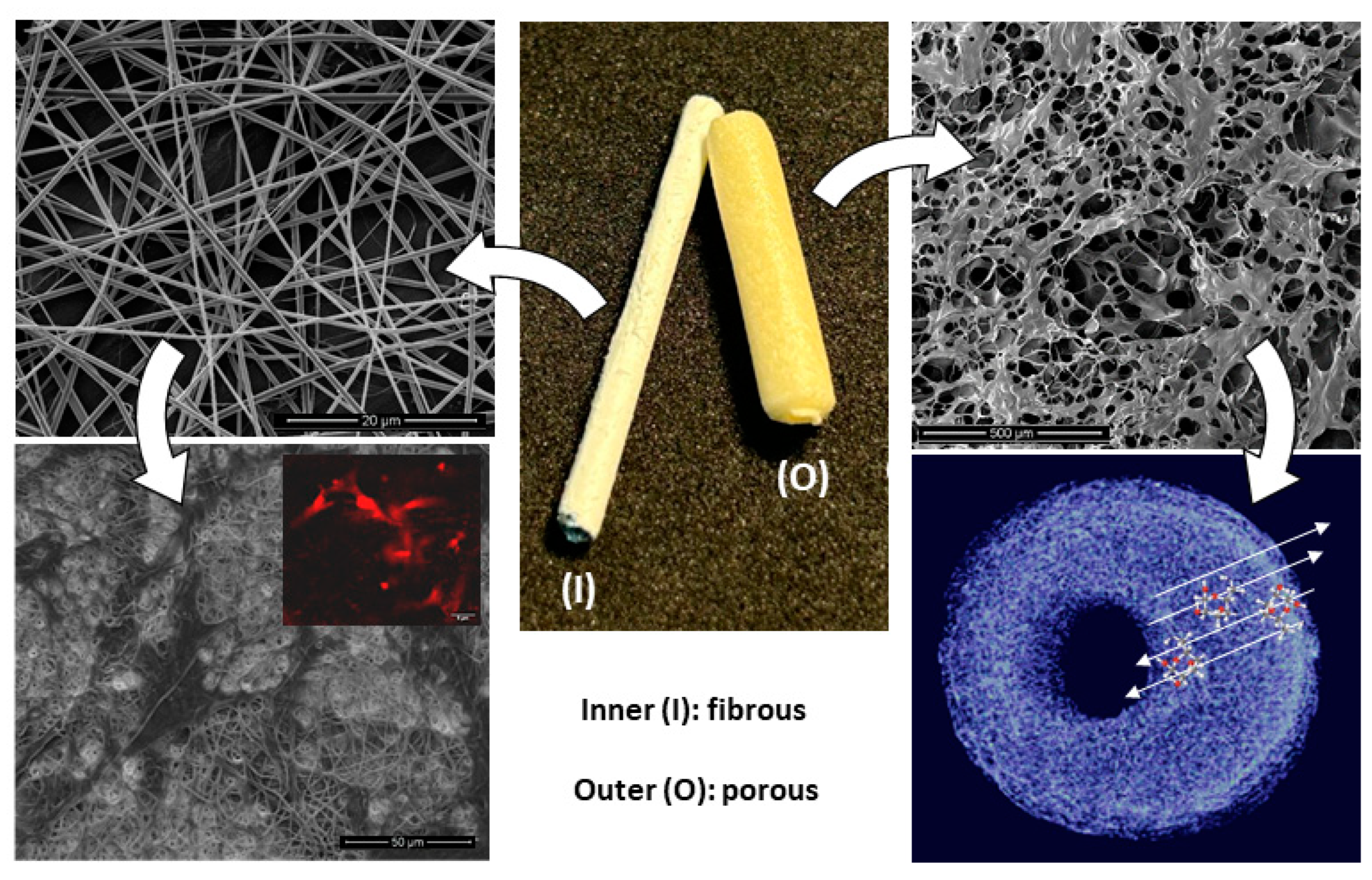 Polymers 16 02893 g010