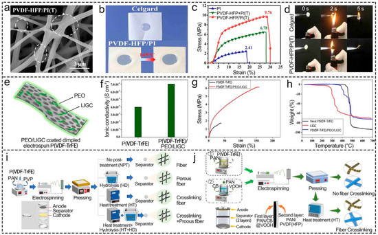 Polymers 16 02895 g008