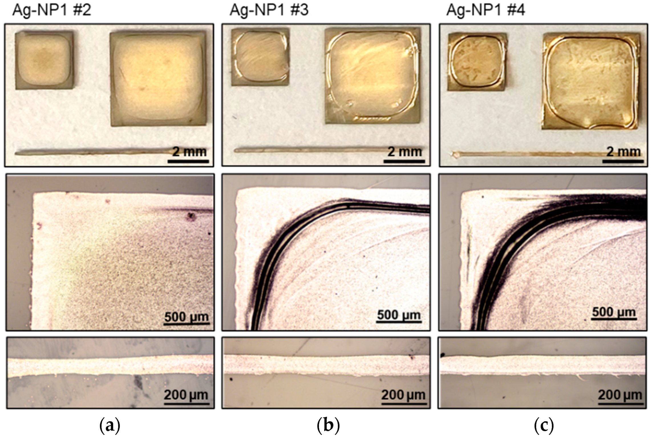Polymers 16 02896 g002