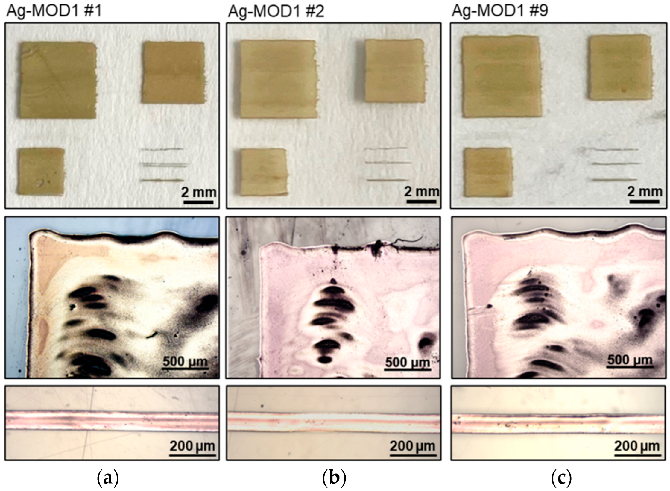 Polymers 16 02896 g004