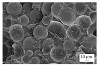 Polymers 16 02917 i007