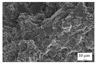 Polymers 16 02917 i008