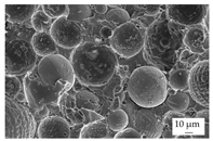 Polymers 16 02917 i011