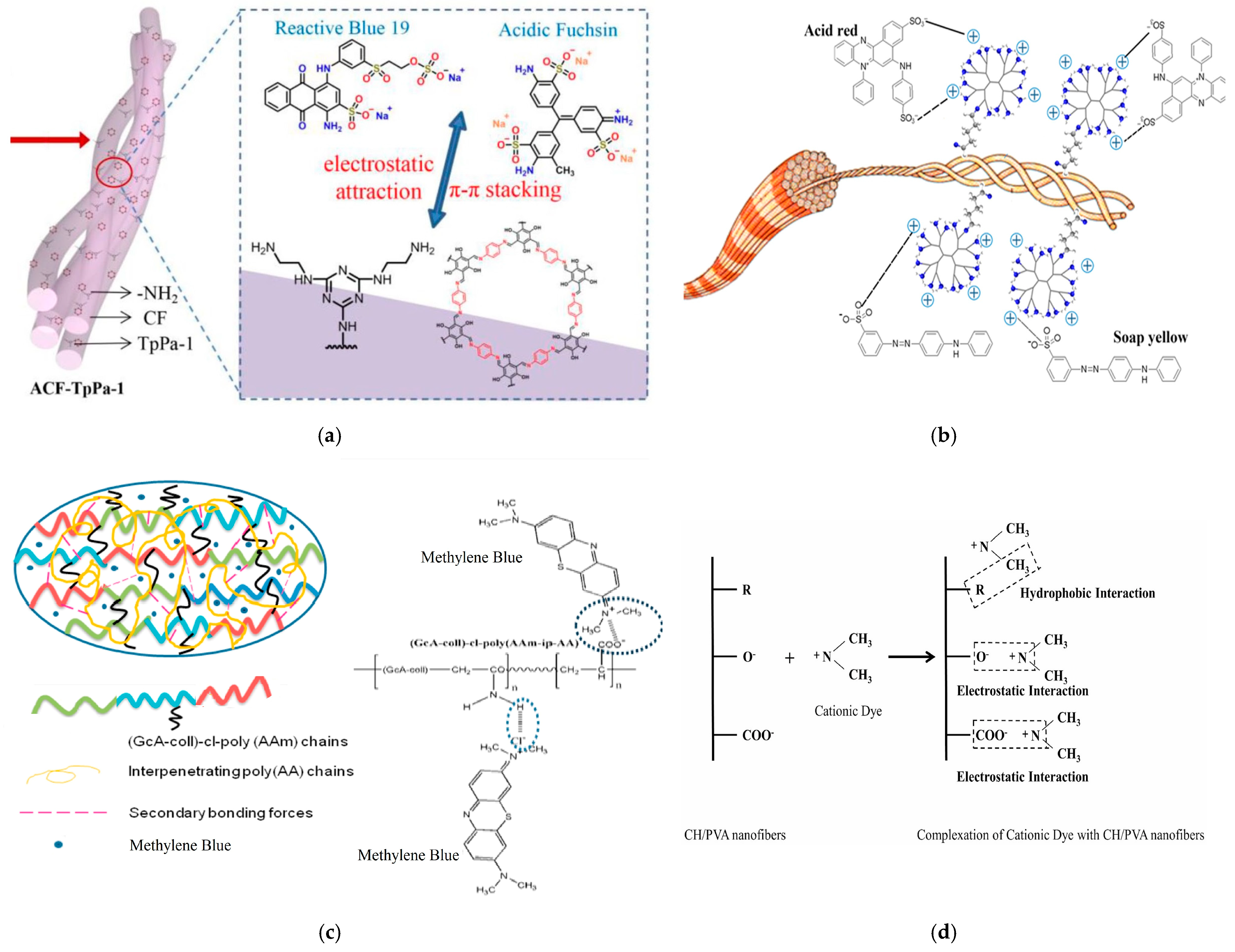 Polymers 16 02923 g004a