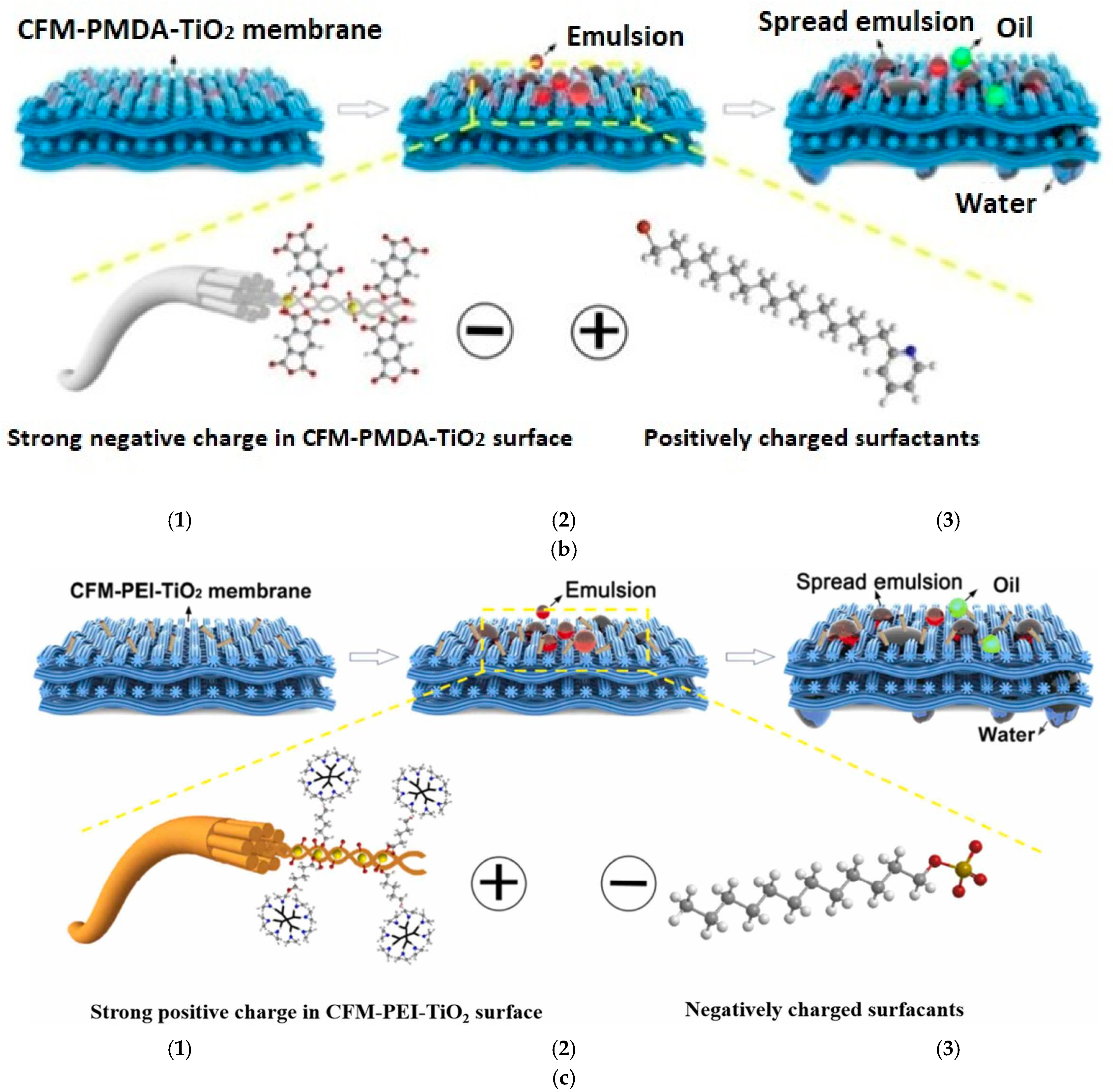 Polymers 16 02923 g009b
