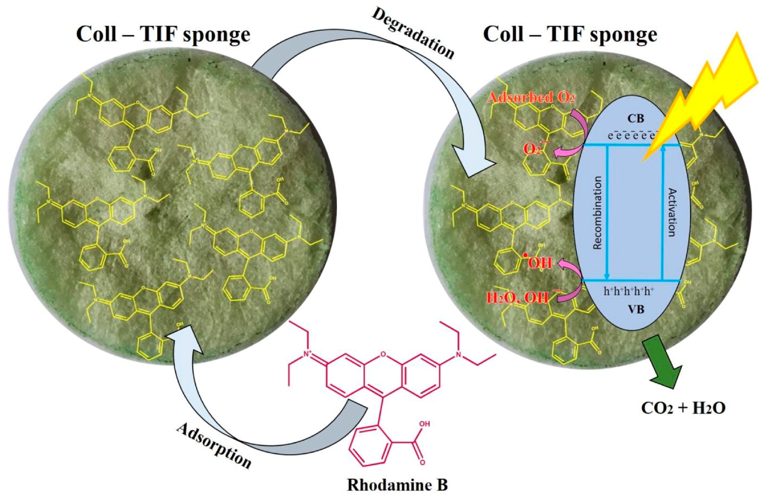Polymers 16 02923 g011