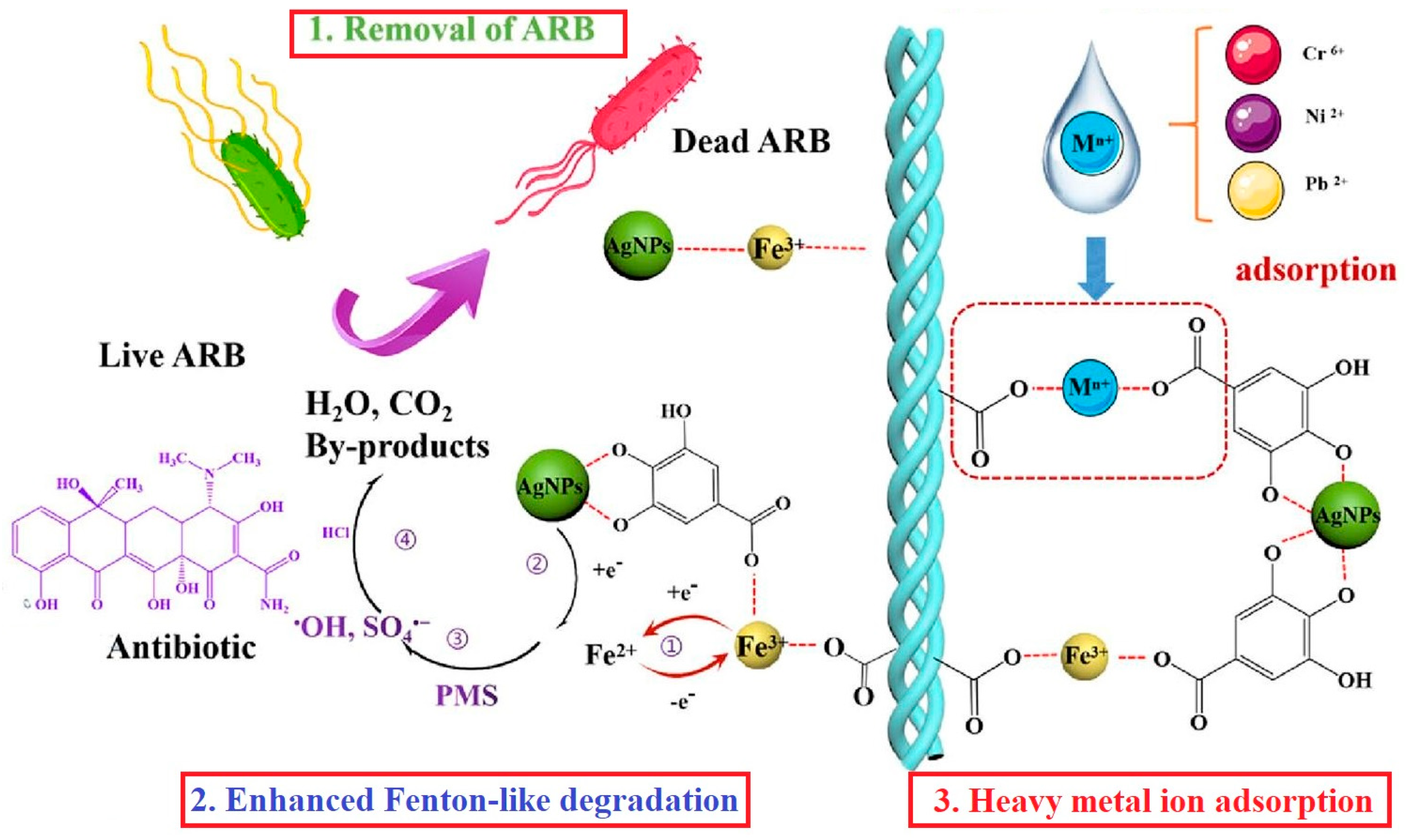 Polymers 16 02923 g012