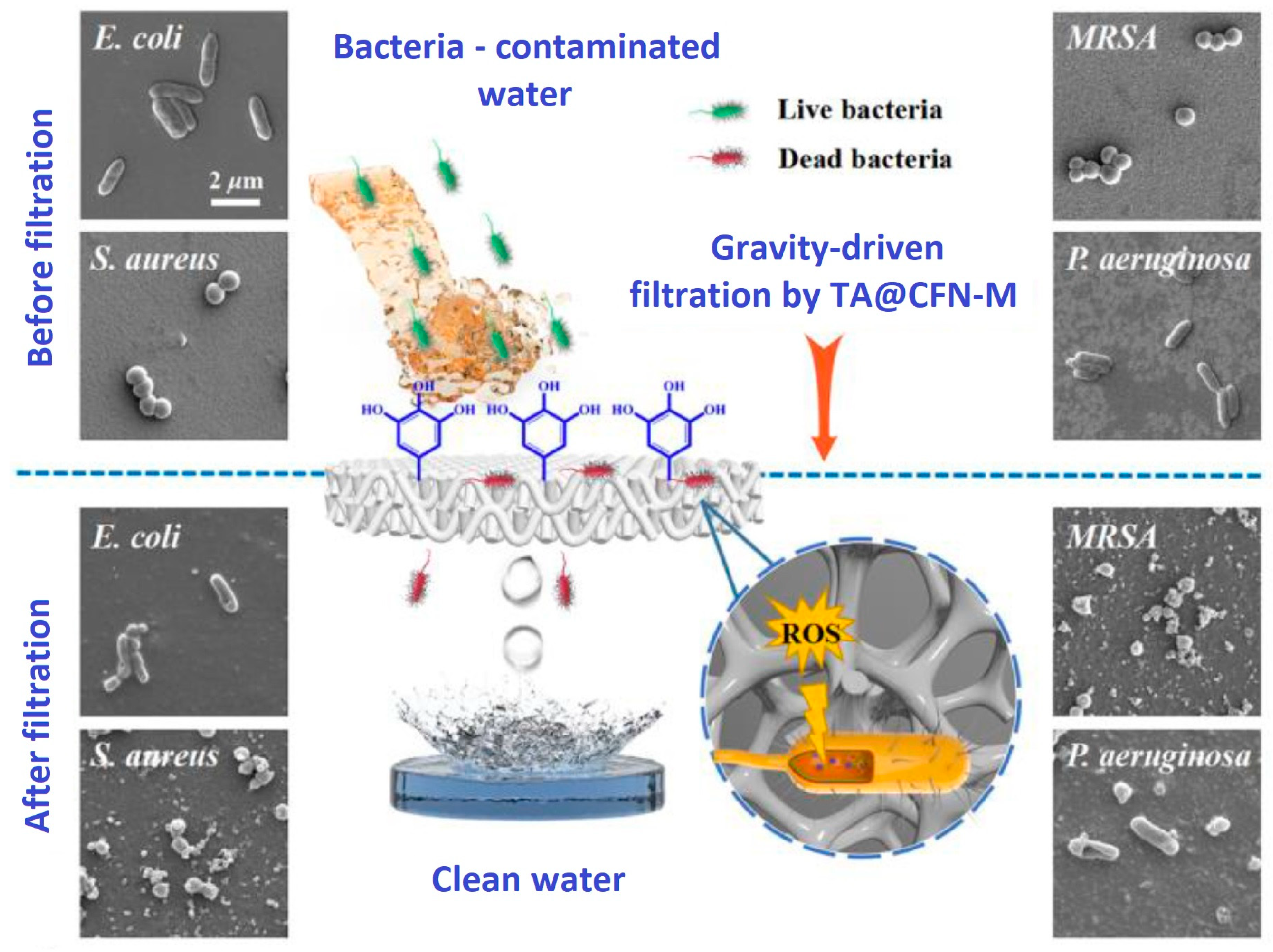 Polymers 16 02923 g013