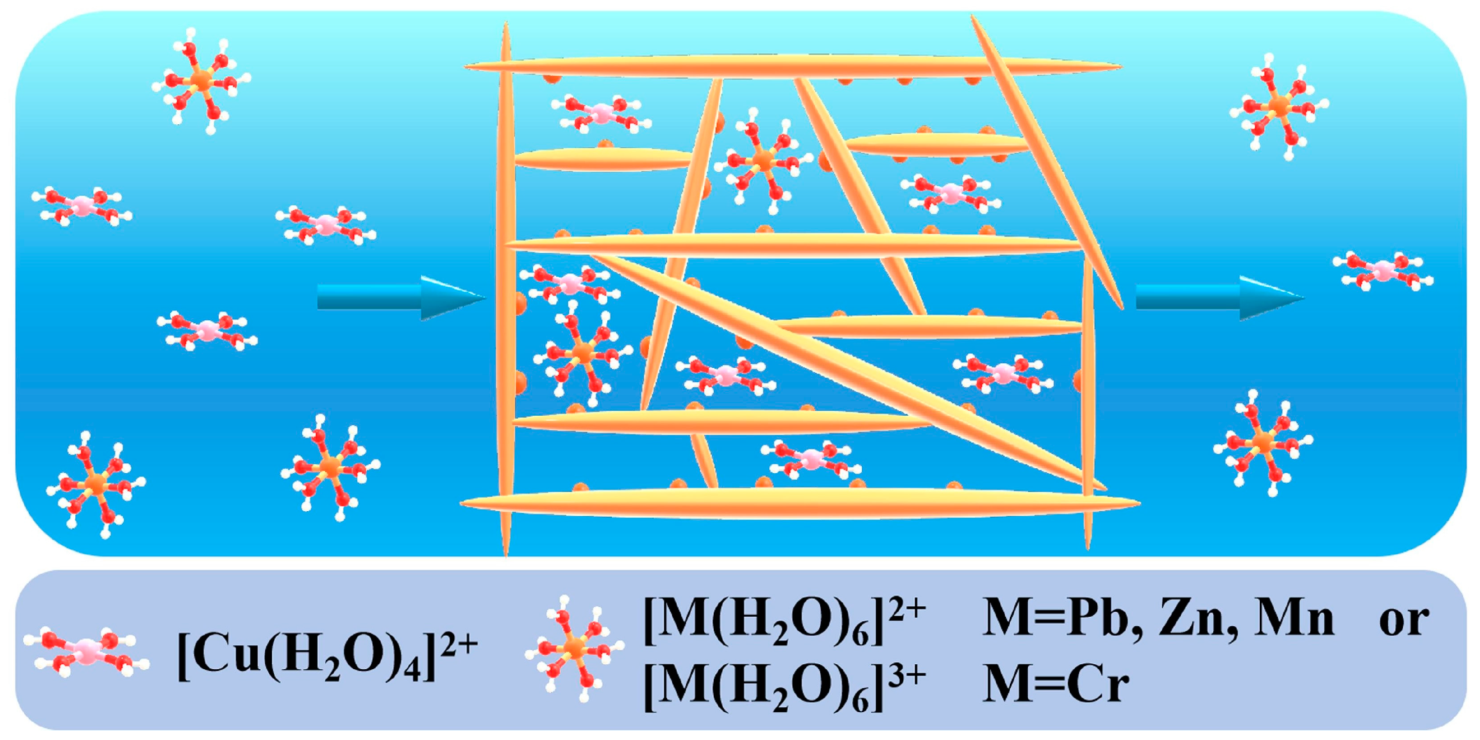 Polymers 16 02923 g014