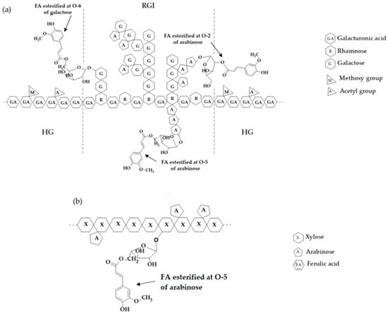Polymers 16 02939 g001