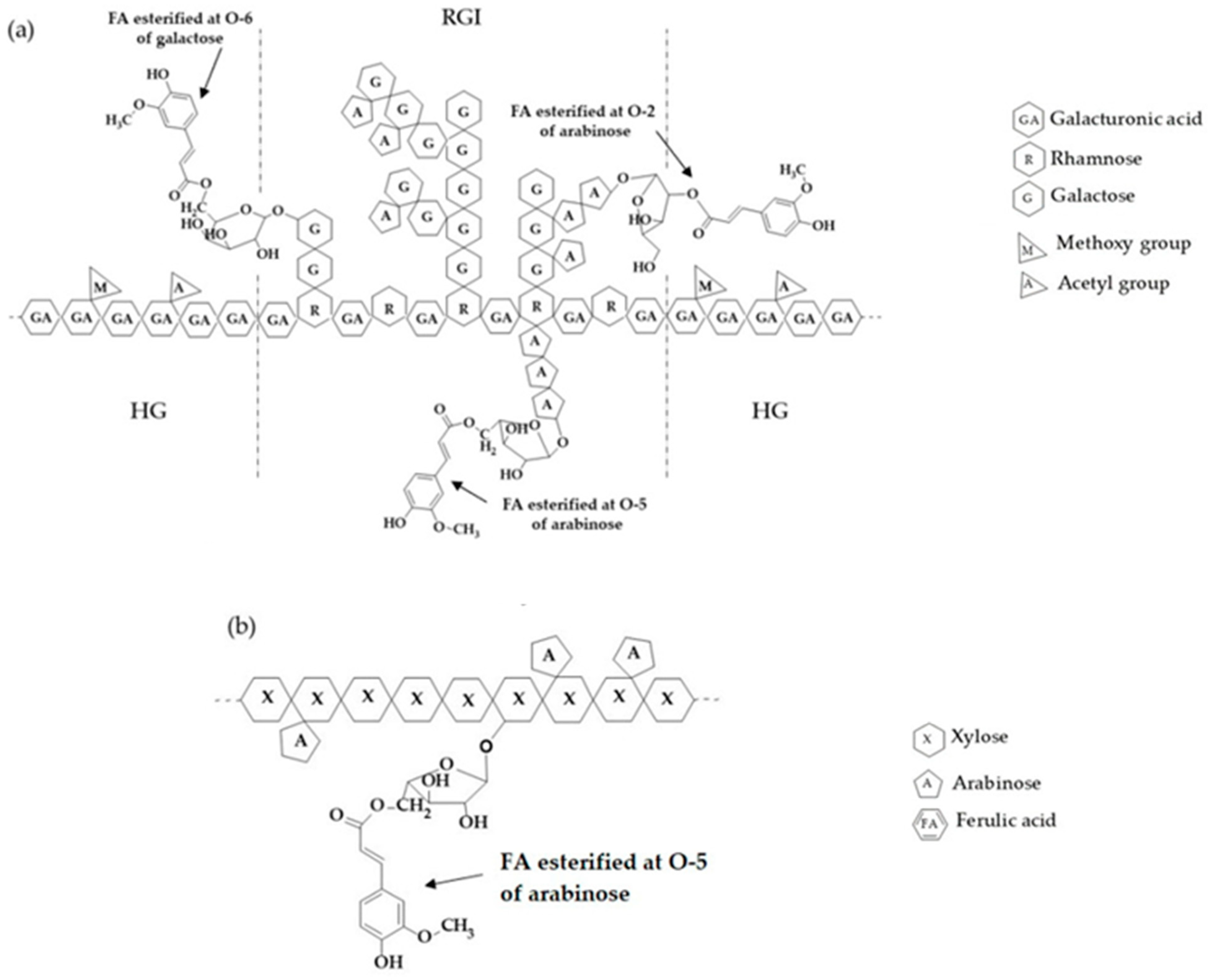 Polymers 16 02939 g001