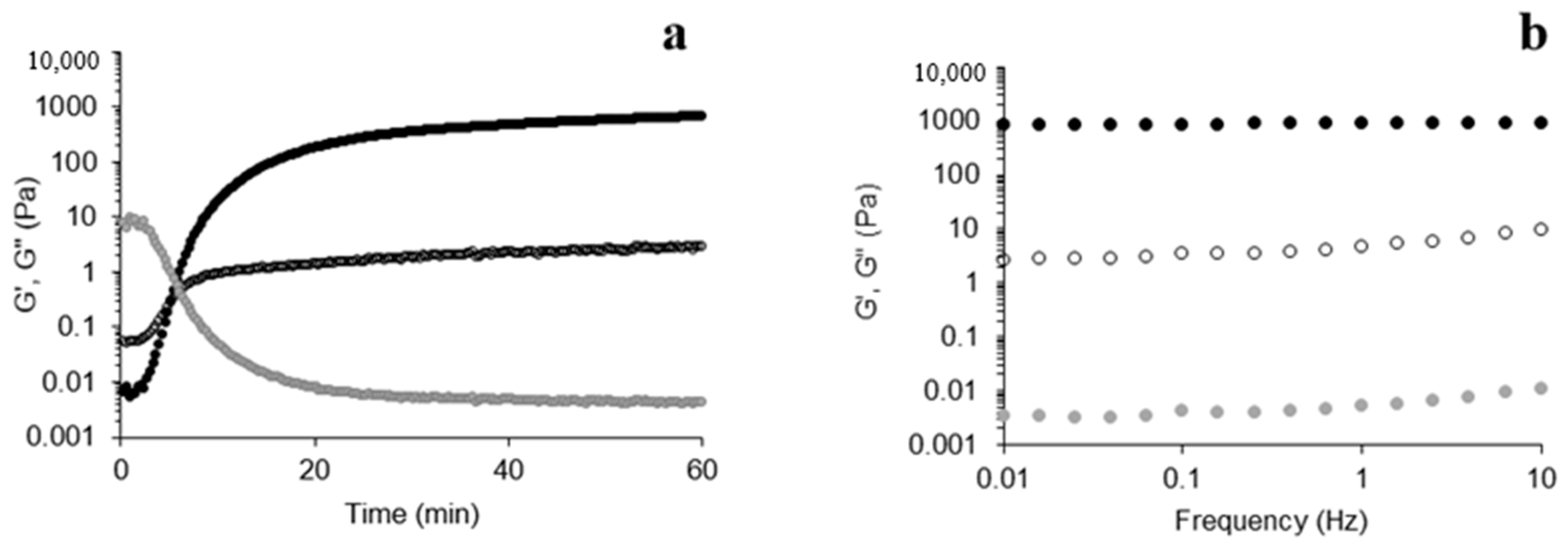 Polymers 16 02939 g005