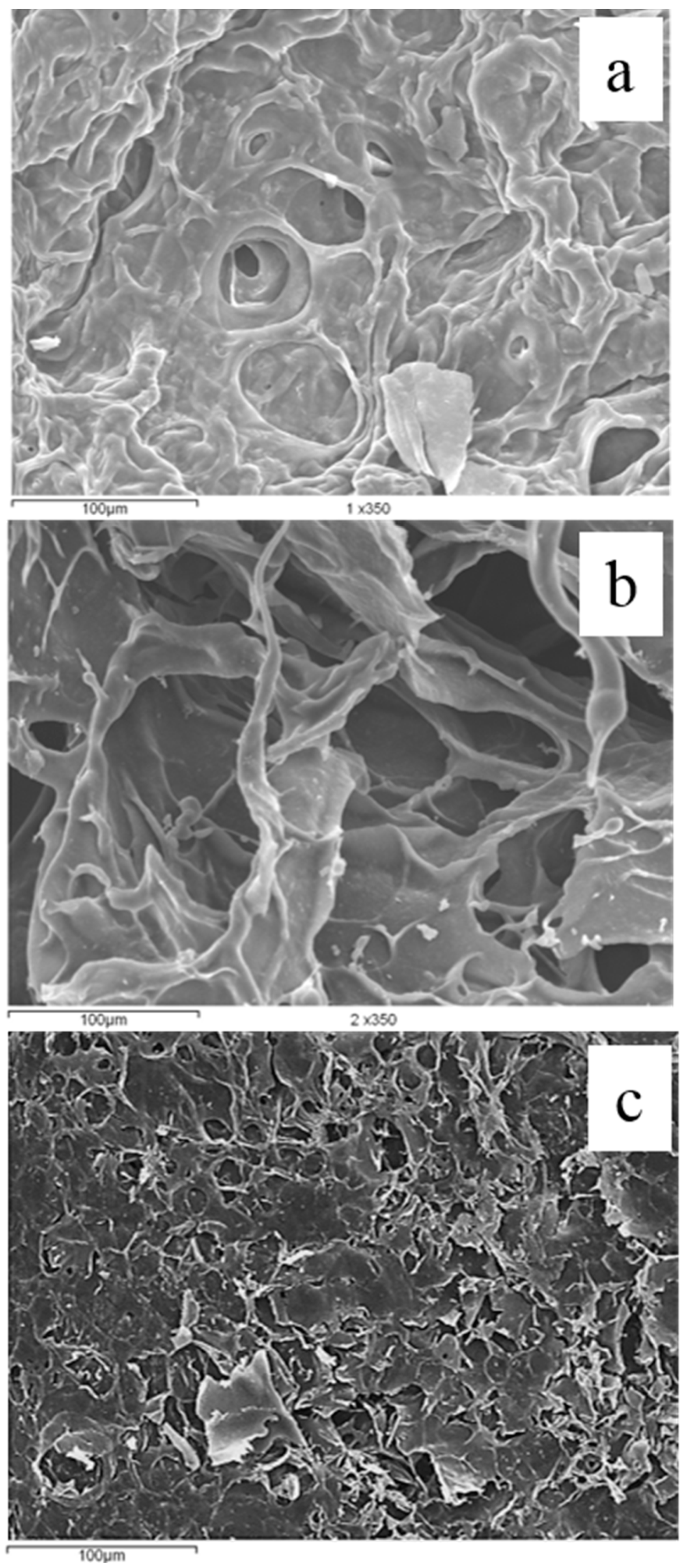 Polymers 16 02939 g006