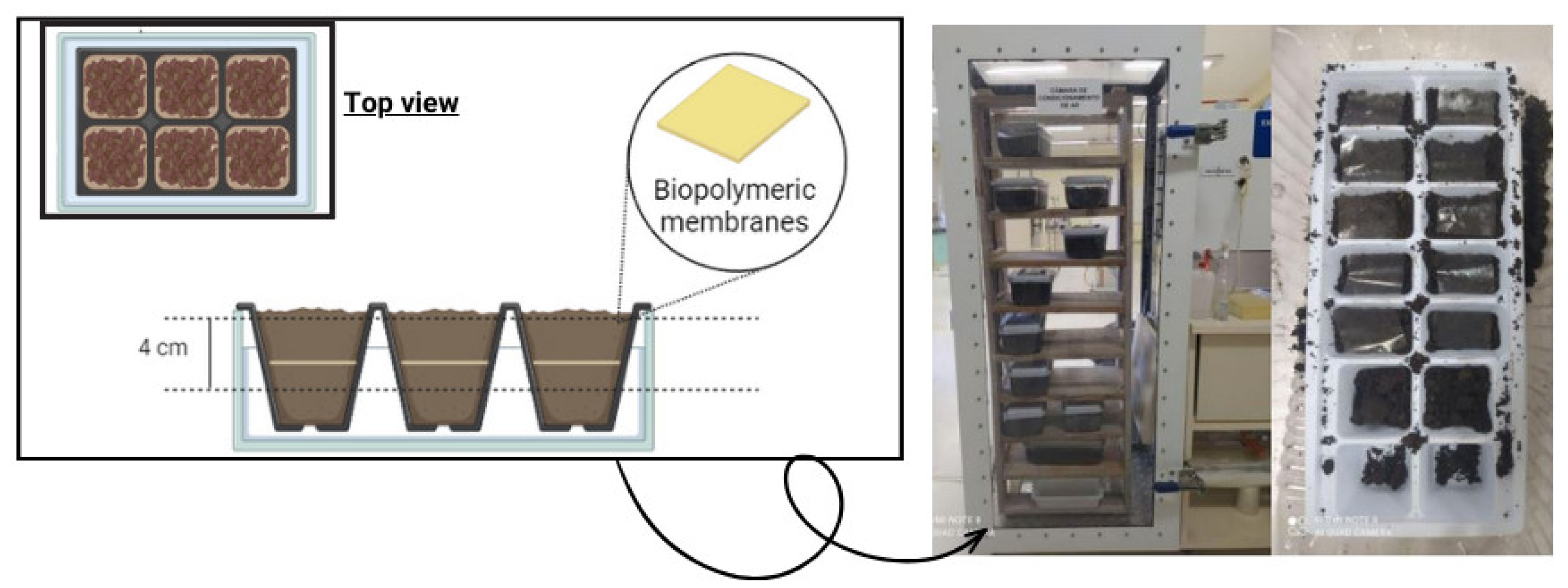 Polymers 16 02940 g002
