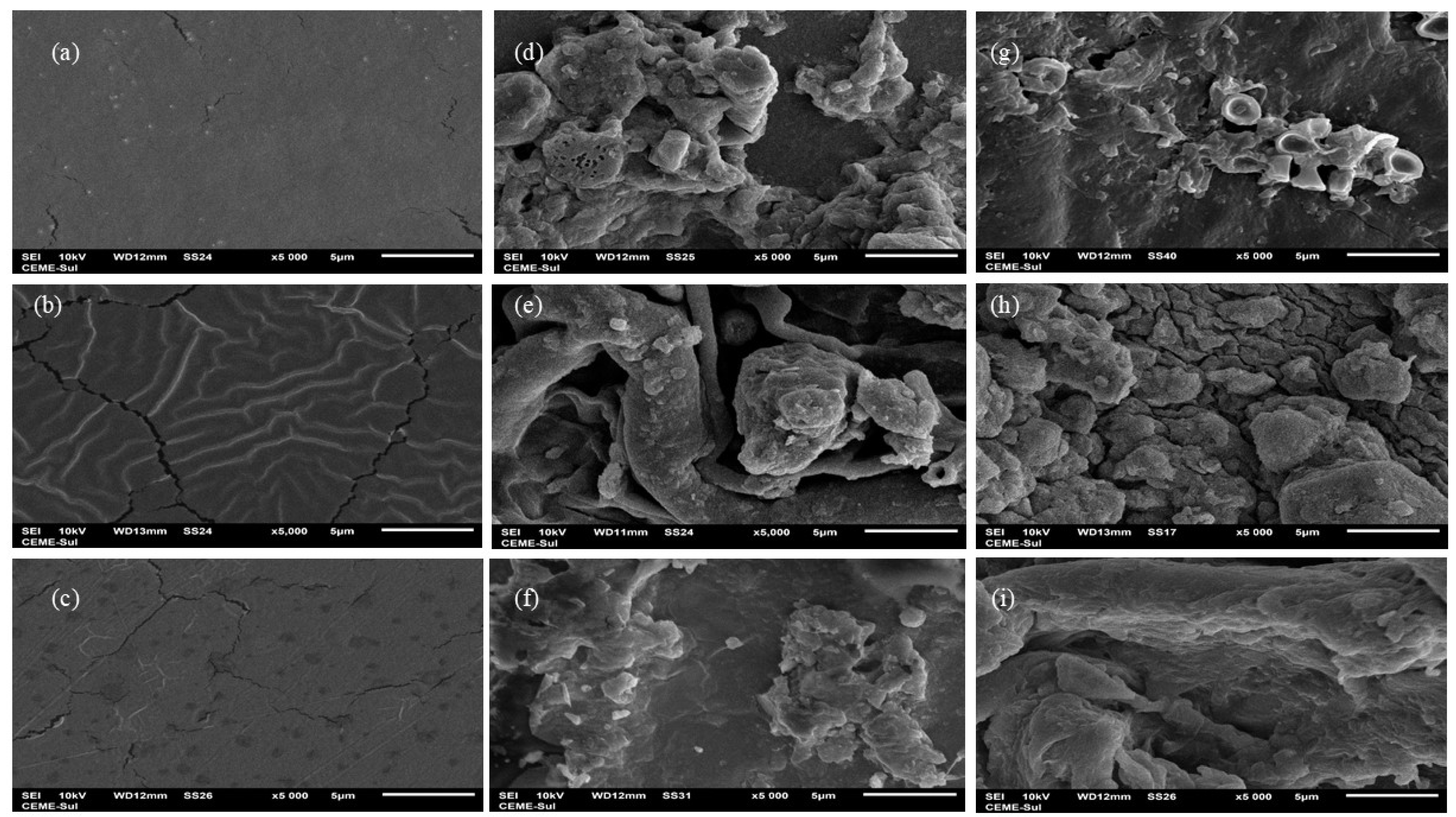 Polymers 16 02940 g007