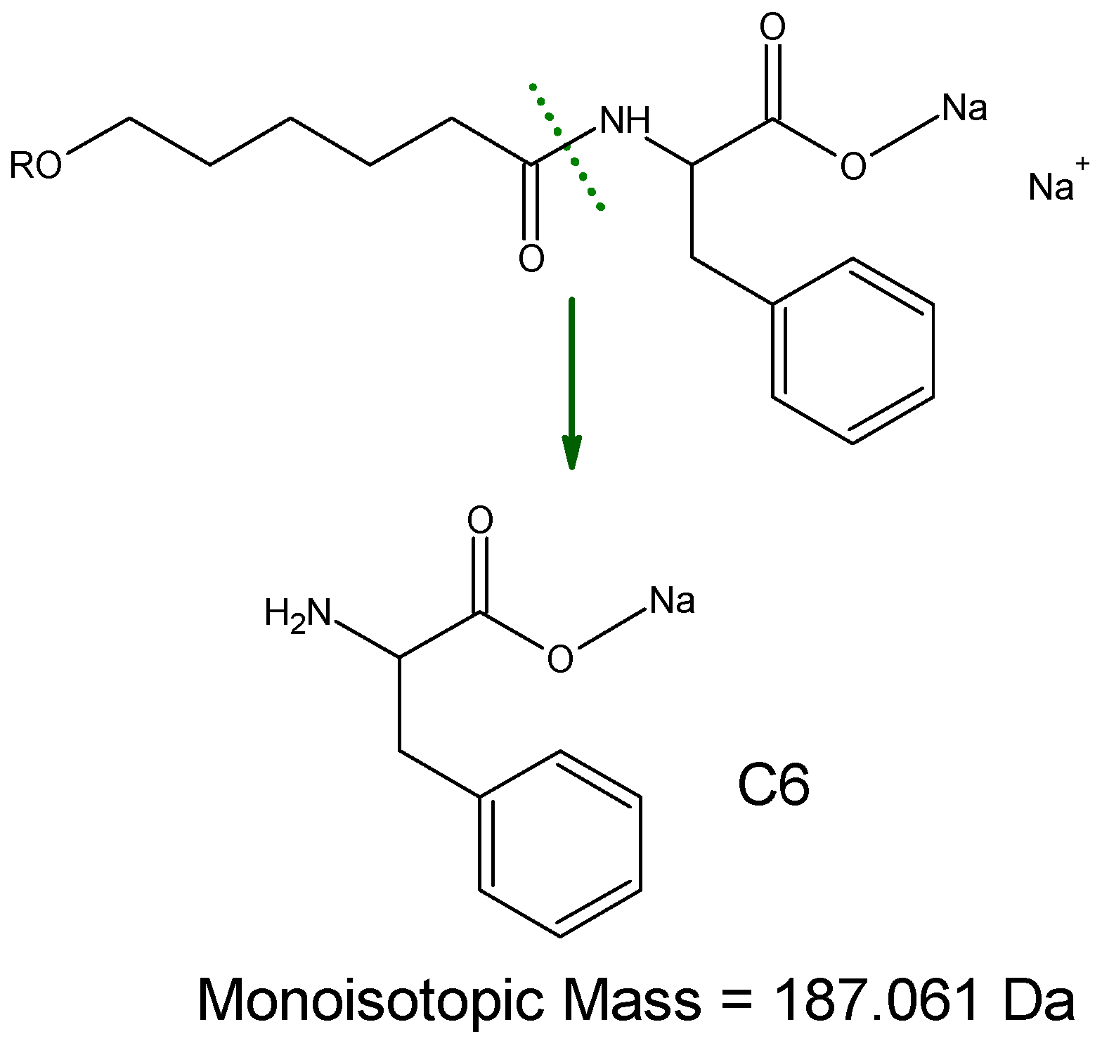 Polymers 16 02955 sch005