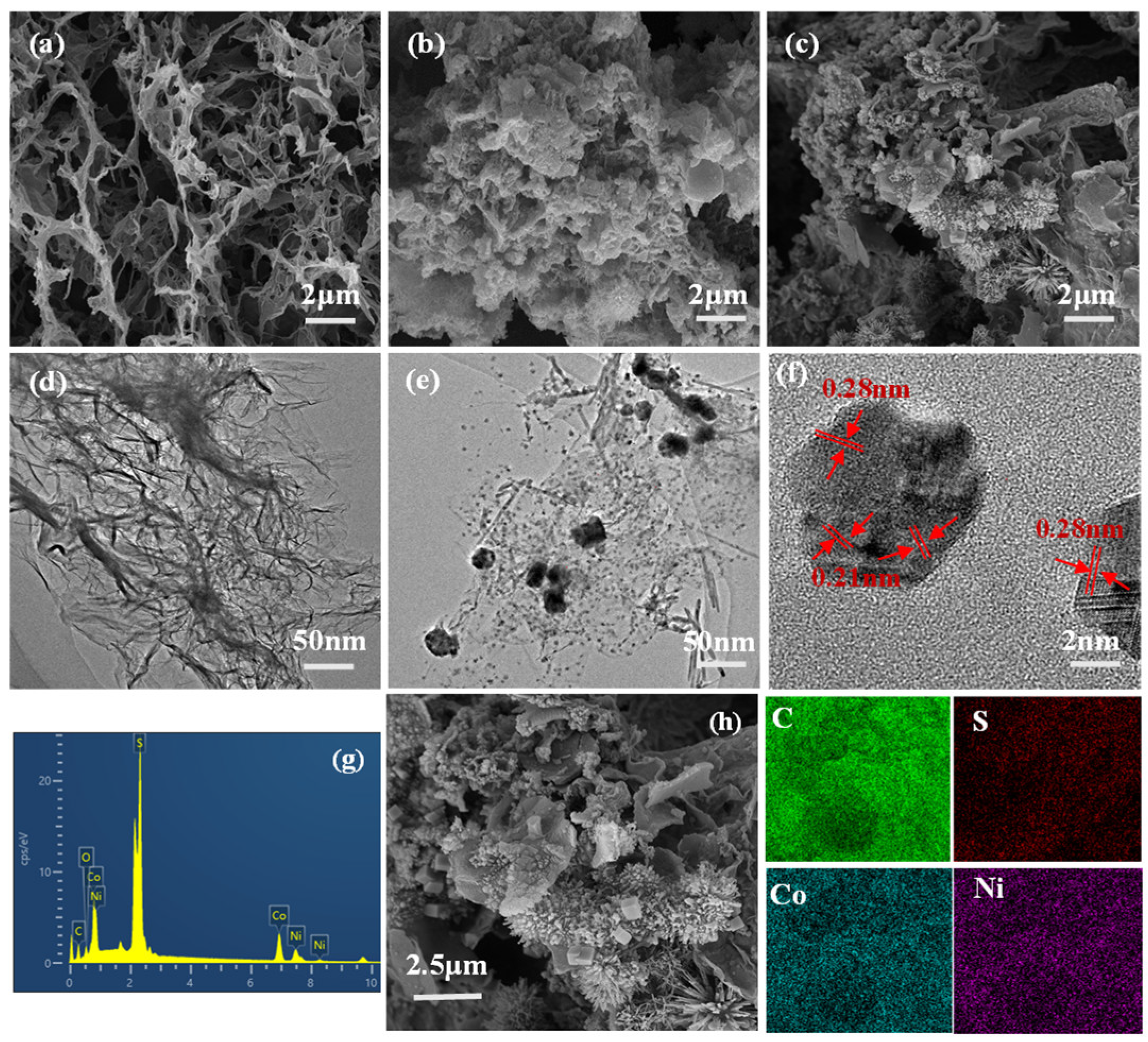 Polymers 16 02959 g002