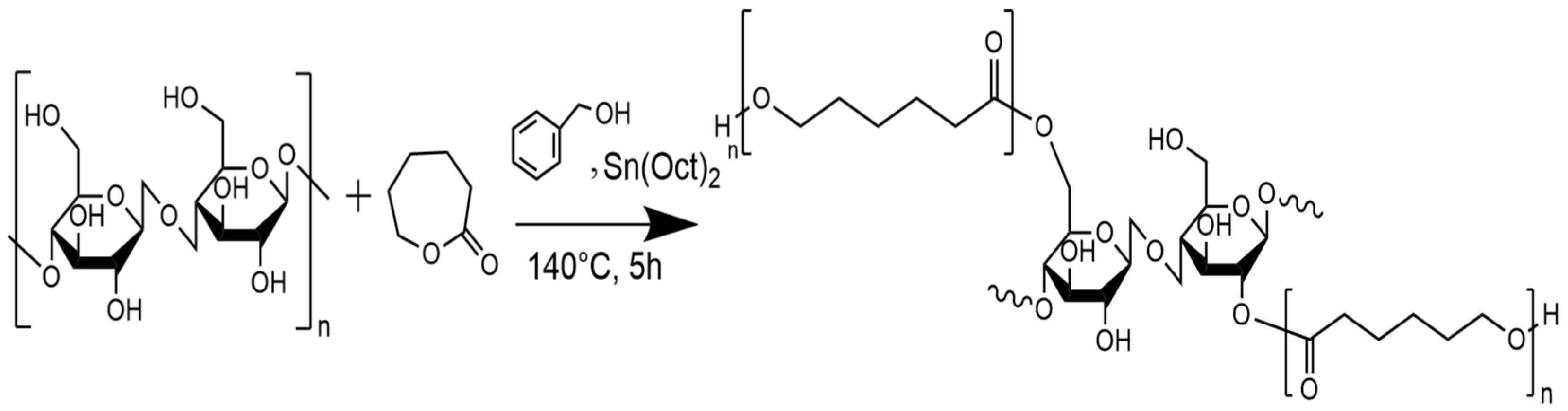 Polymers 16 02964 g003