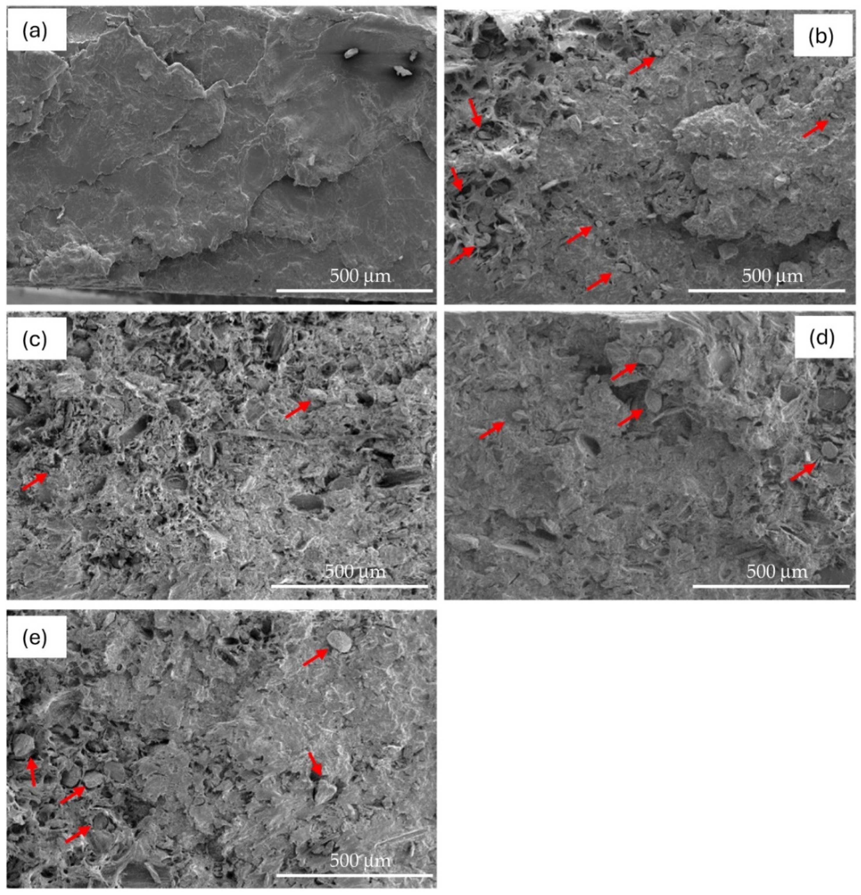 Polymers 16 02966 g010
