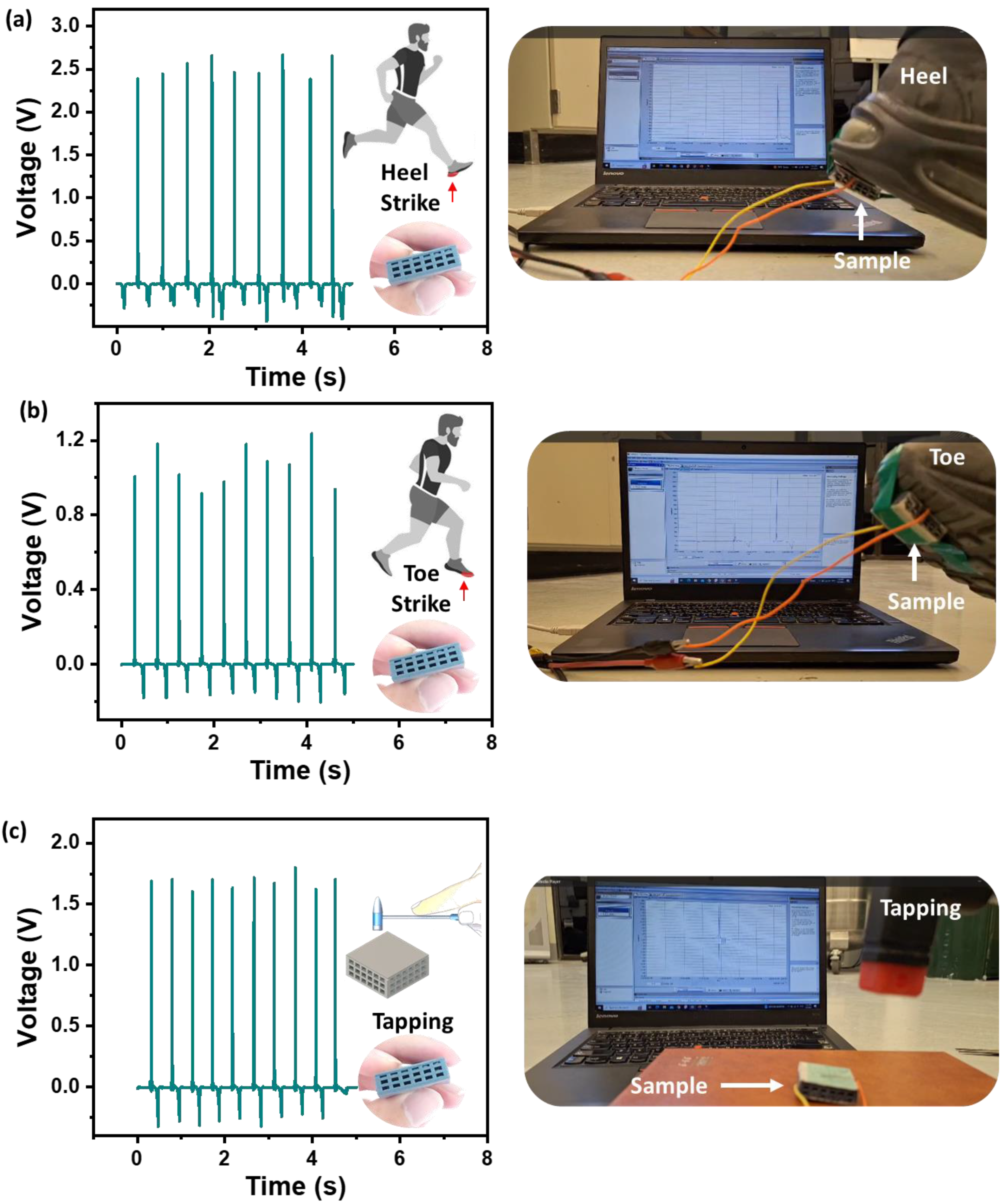 Polymers 16 02967 g008