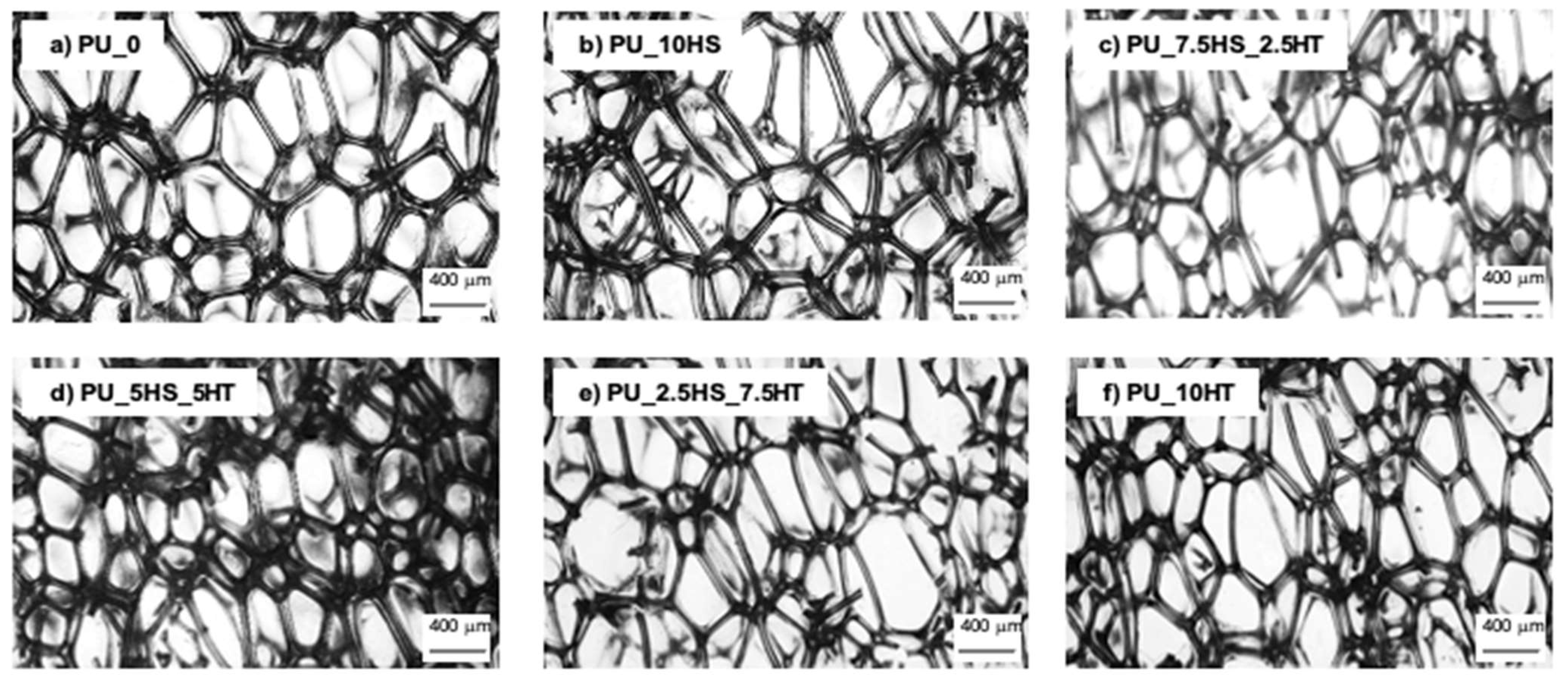 Polymers 16 02968 g006