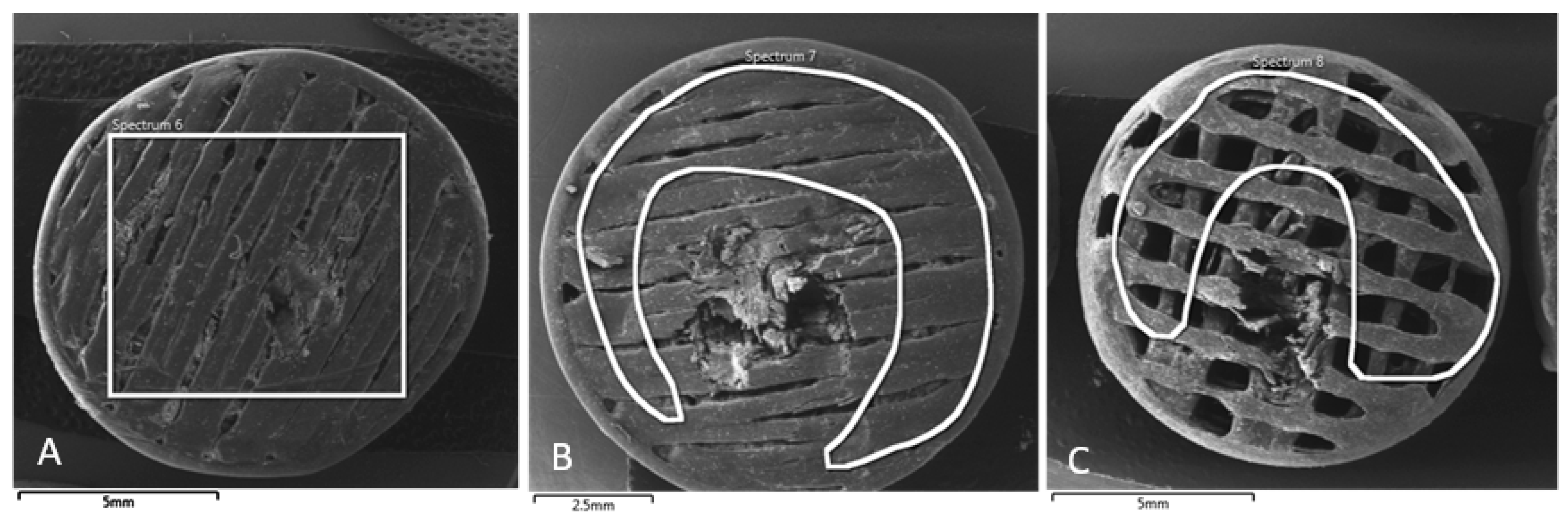 Polymers 16 02969 g011