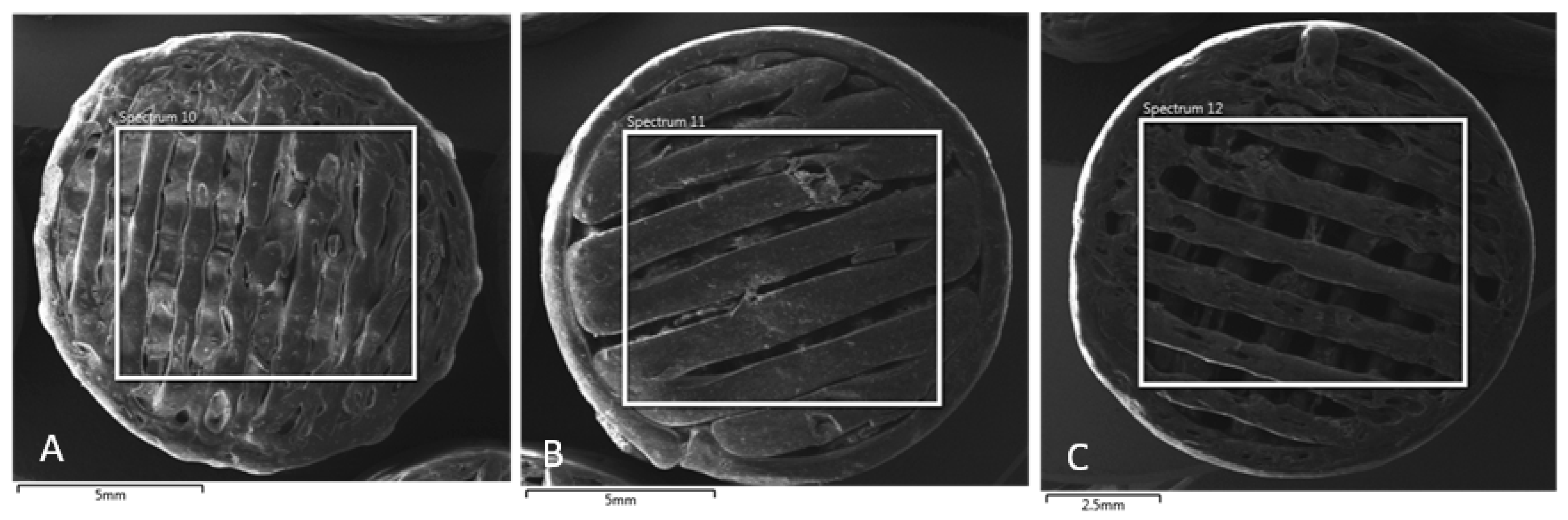 Polymers 16 02969 g012