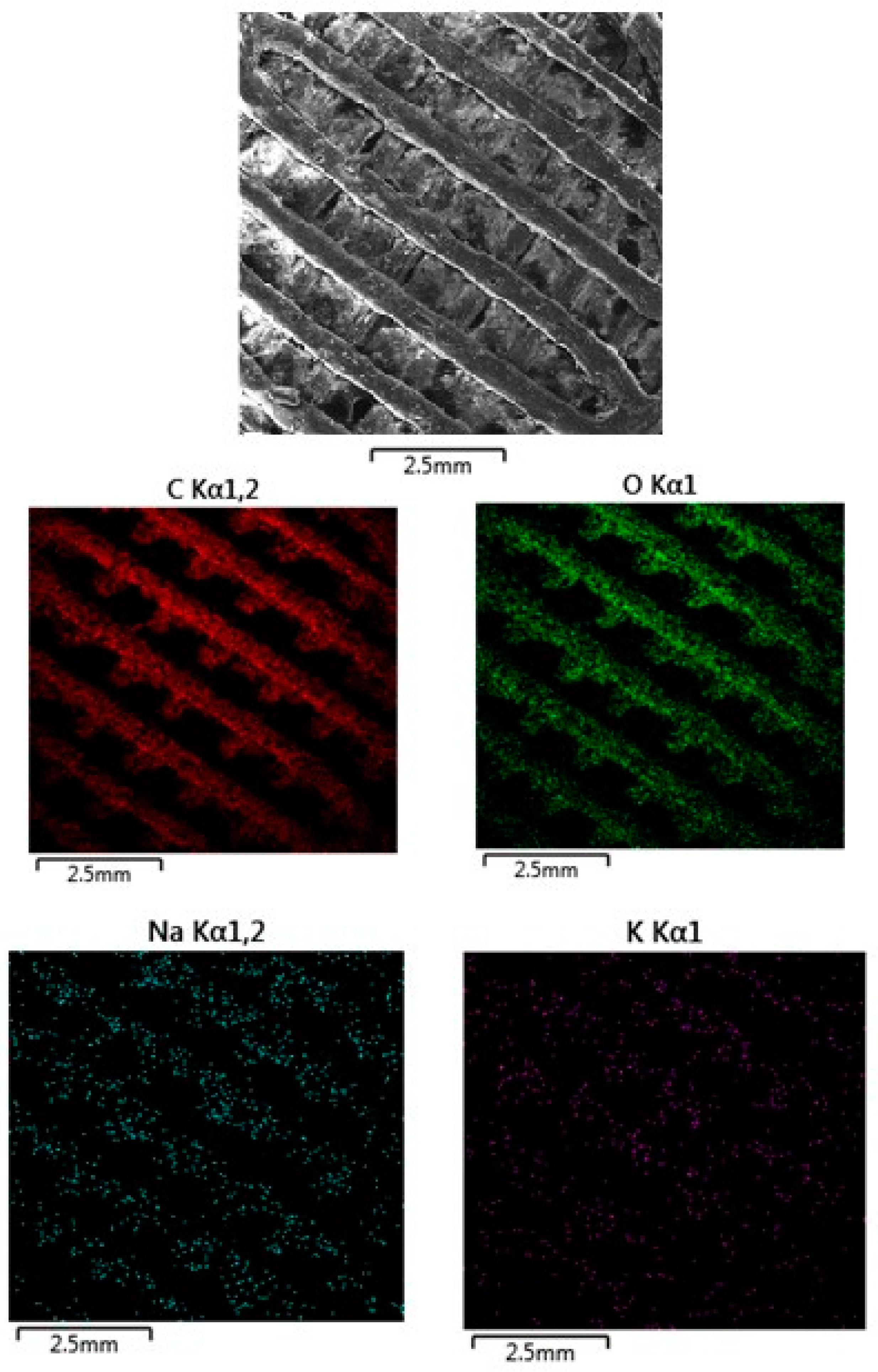Polymers 16 02969 g014