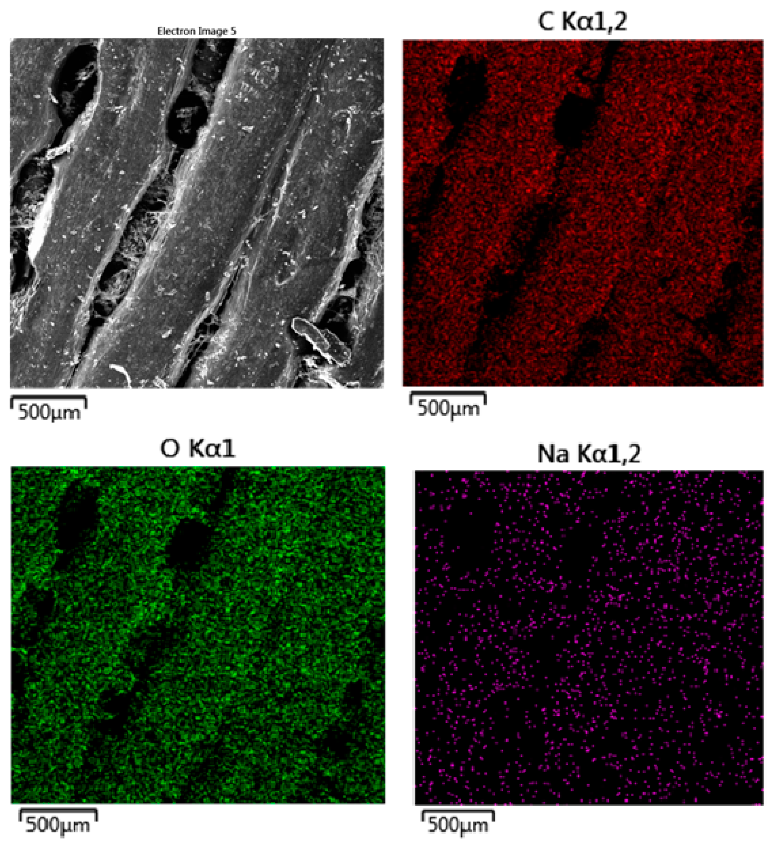 Polymers 16 02969 g016