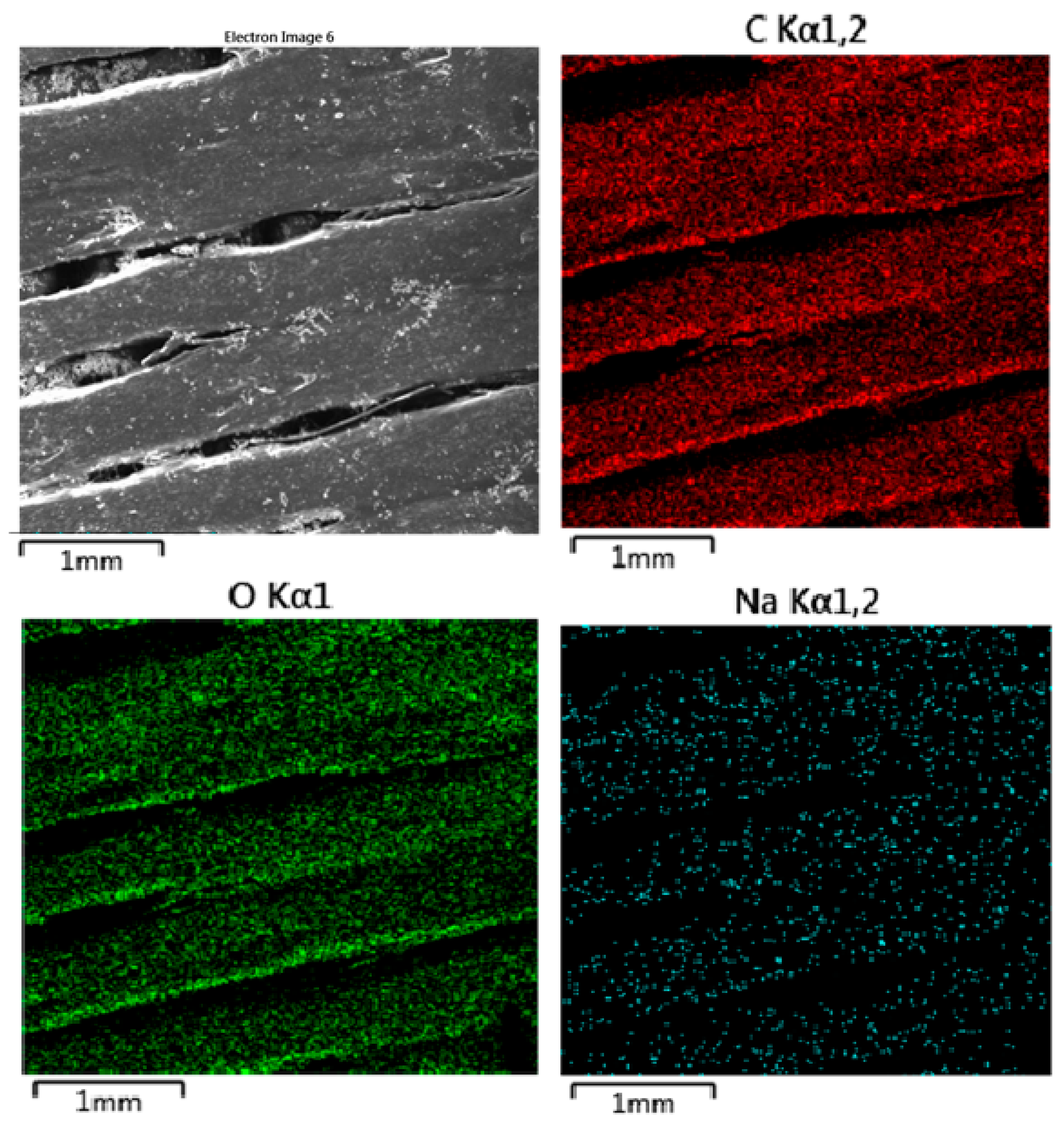 Polymers 16 02969 g017