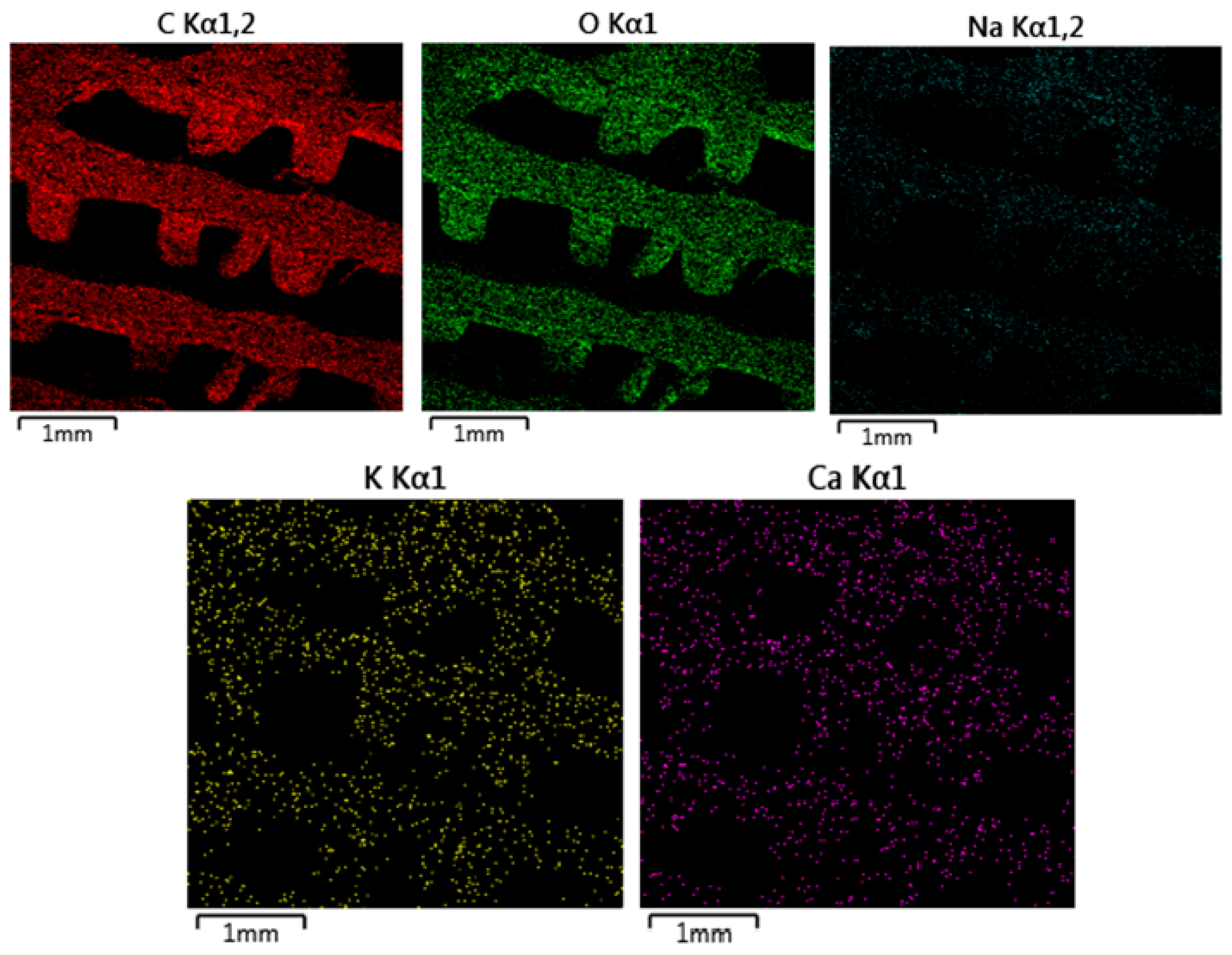 Polymers 16 02969 g018